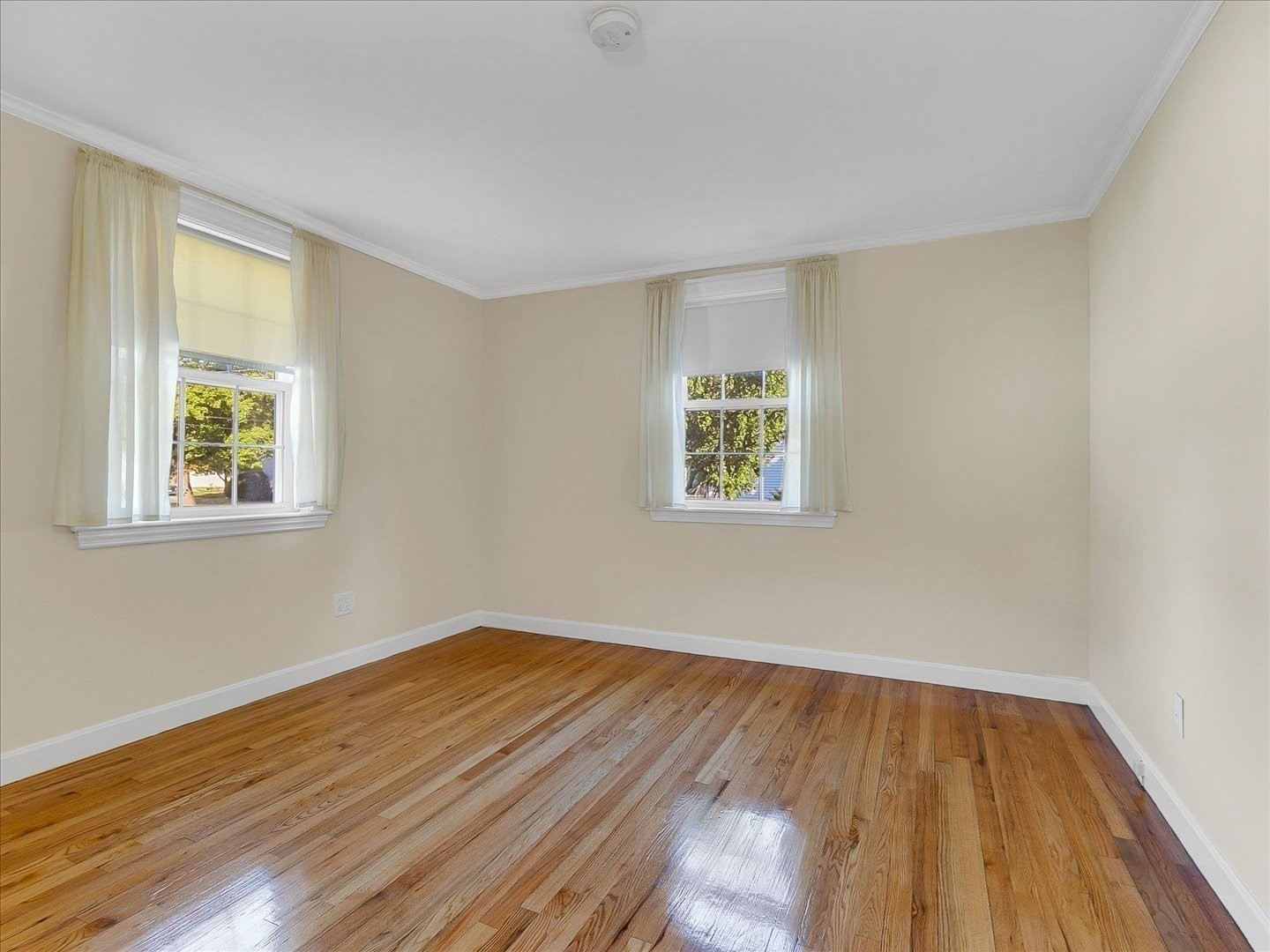 31 Chipman Road Property Photo 10