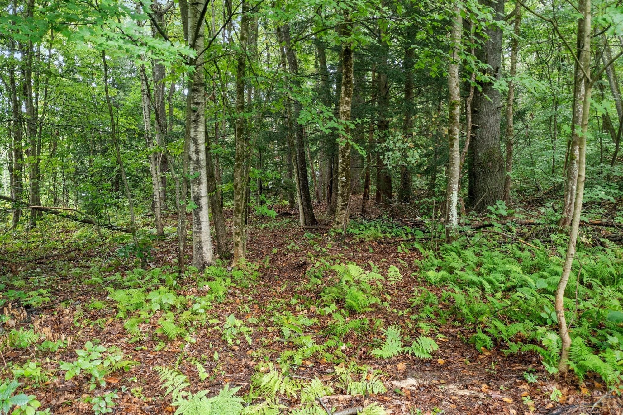 0 Wendell Road Property Photo 6