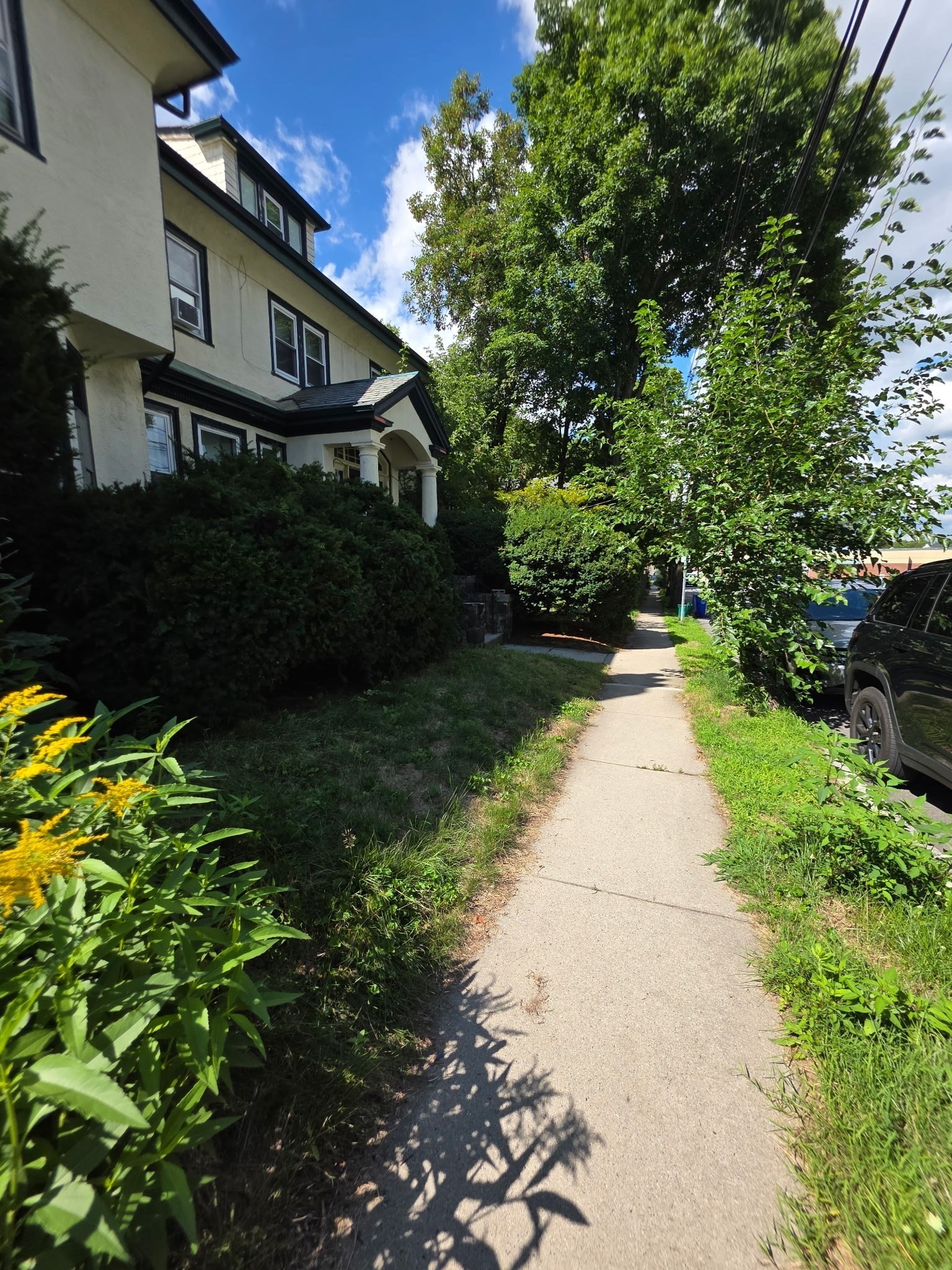 15 Bartlet Ave Property Photo 24