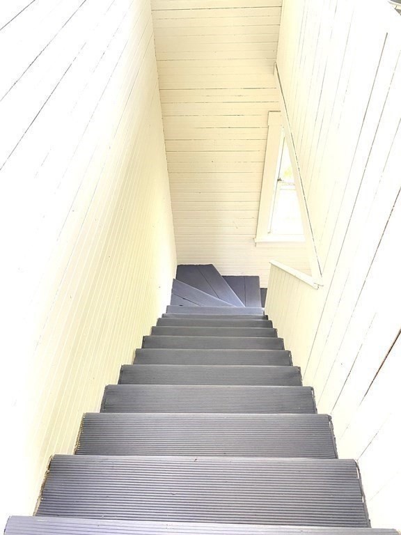 11 Leon St Property Photo 20