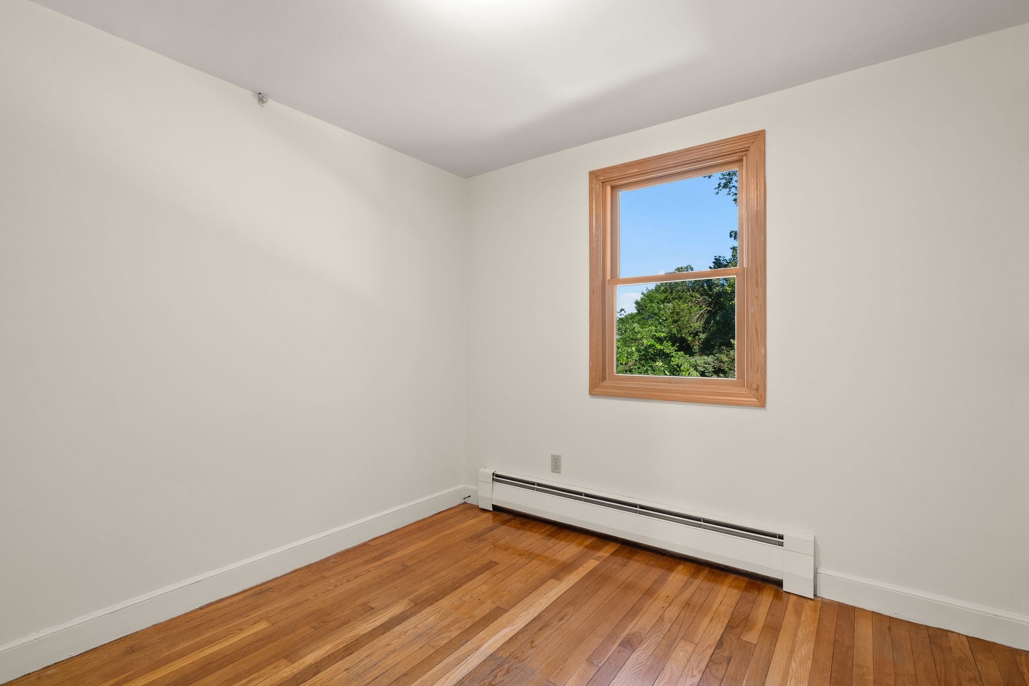 298 Forest St Property Photo 21