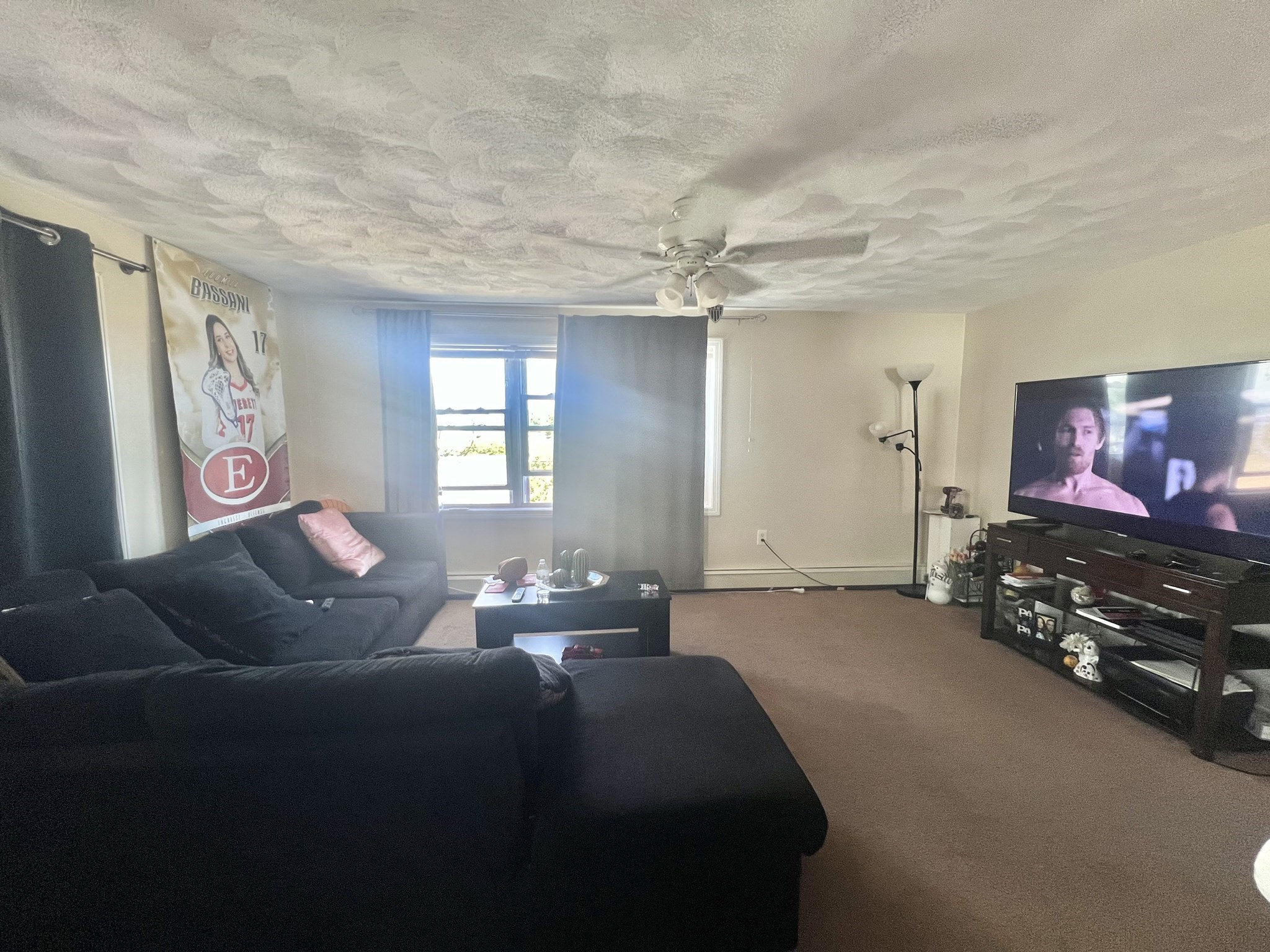 84 Elsie St Property Photo 8