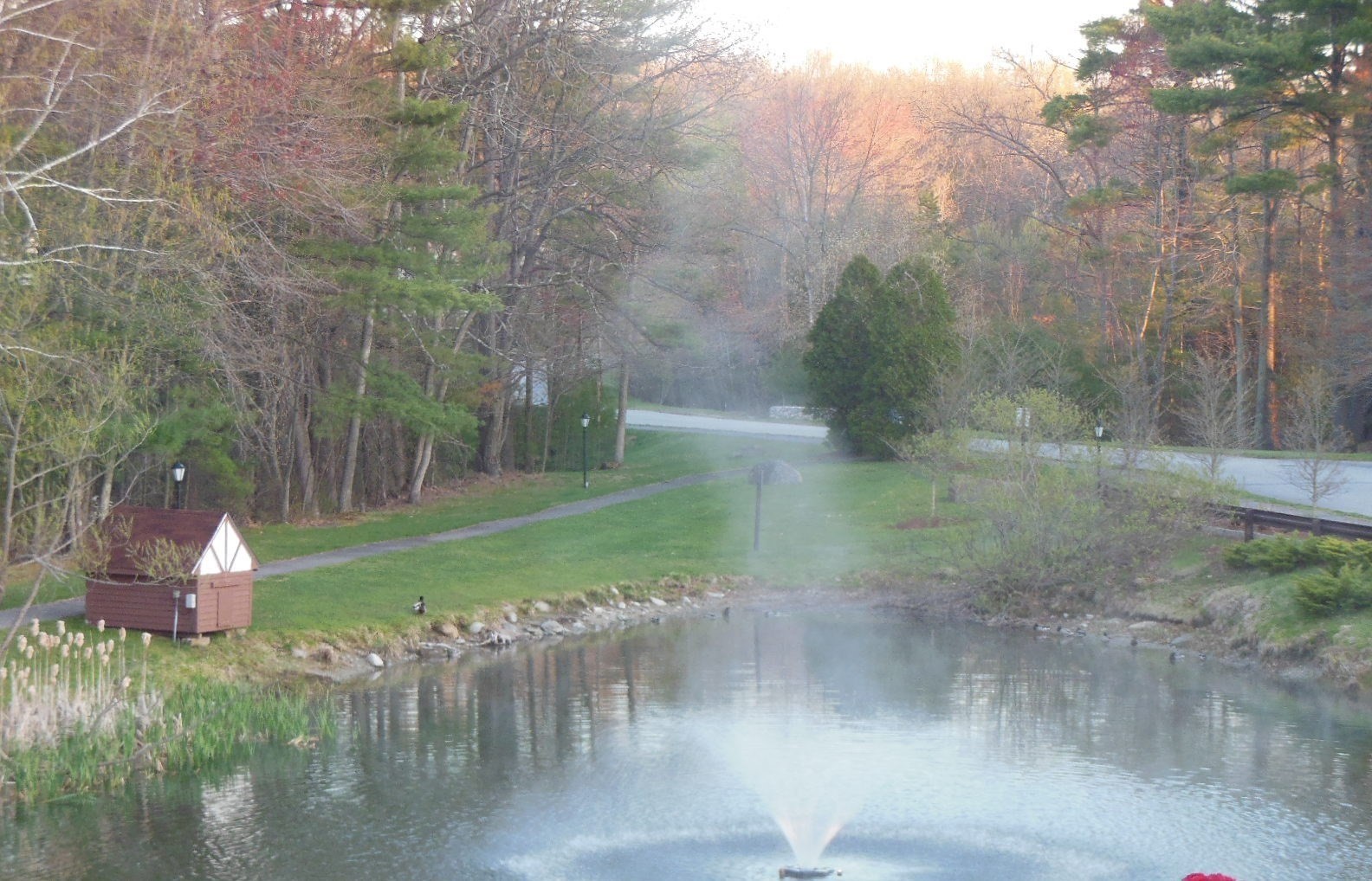 C1 Scotty Hollow Dr # C1 Property Photo 18