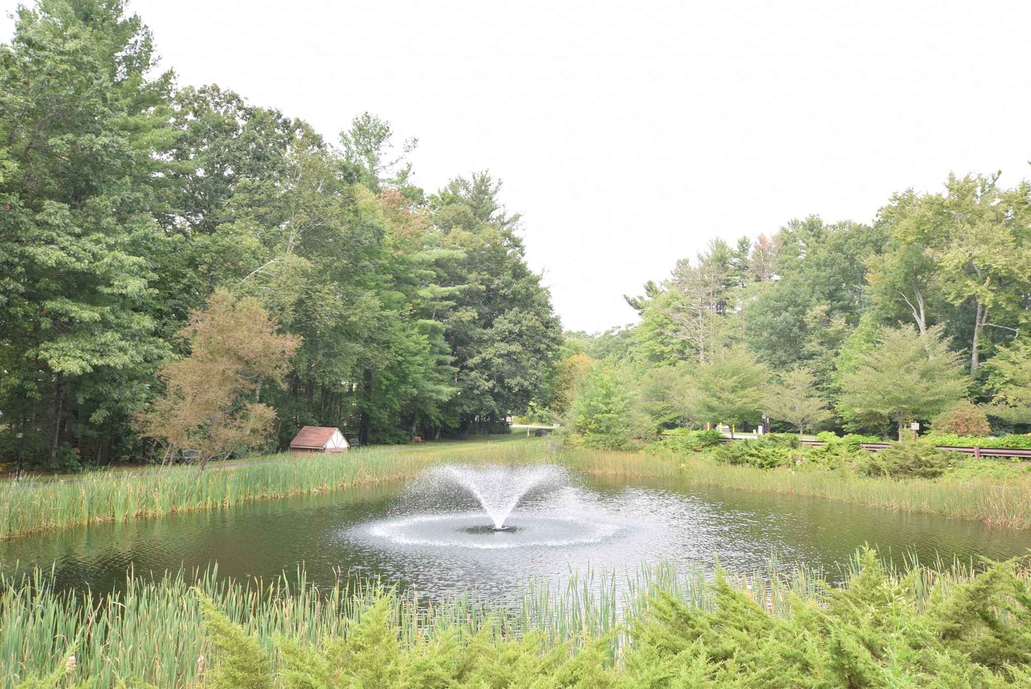 C1 Scotty Hollow Dr # C1 Property Photo 19