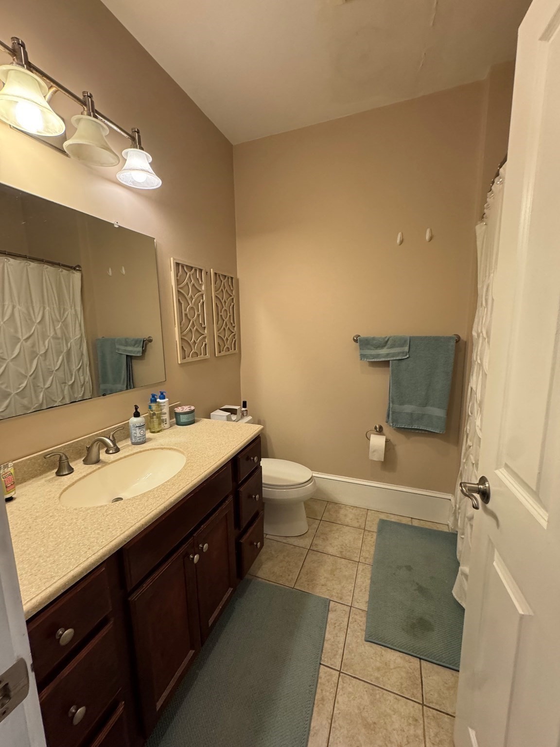 65-67 Surrey Property Photo 14