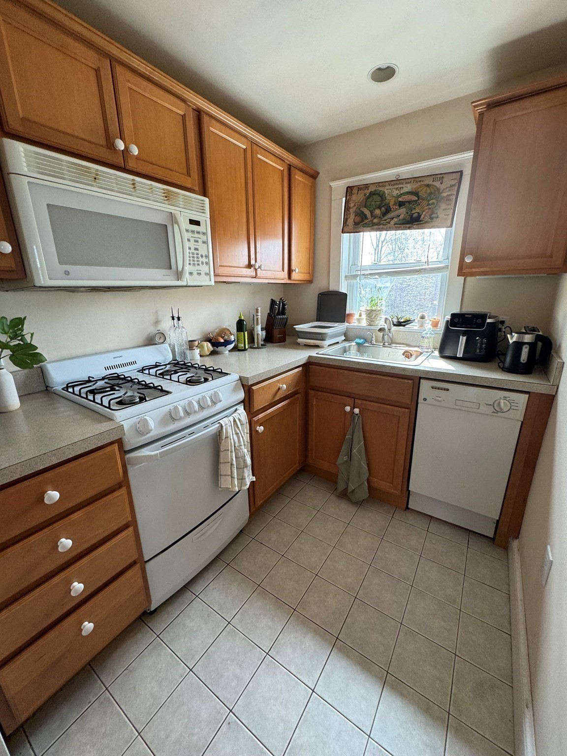 65-67 Surrey Property Photo 33
