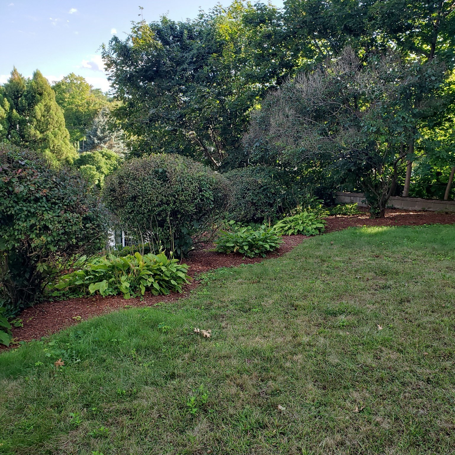 6 Hillcrest Rd Property Photo 35