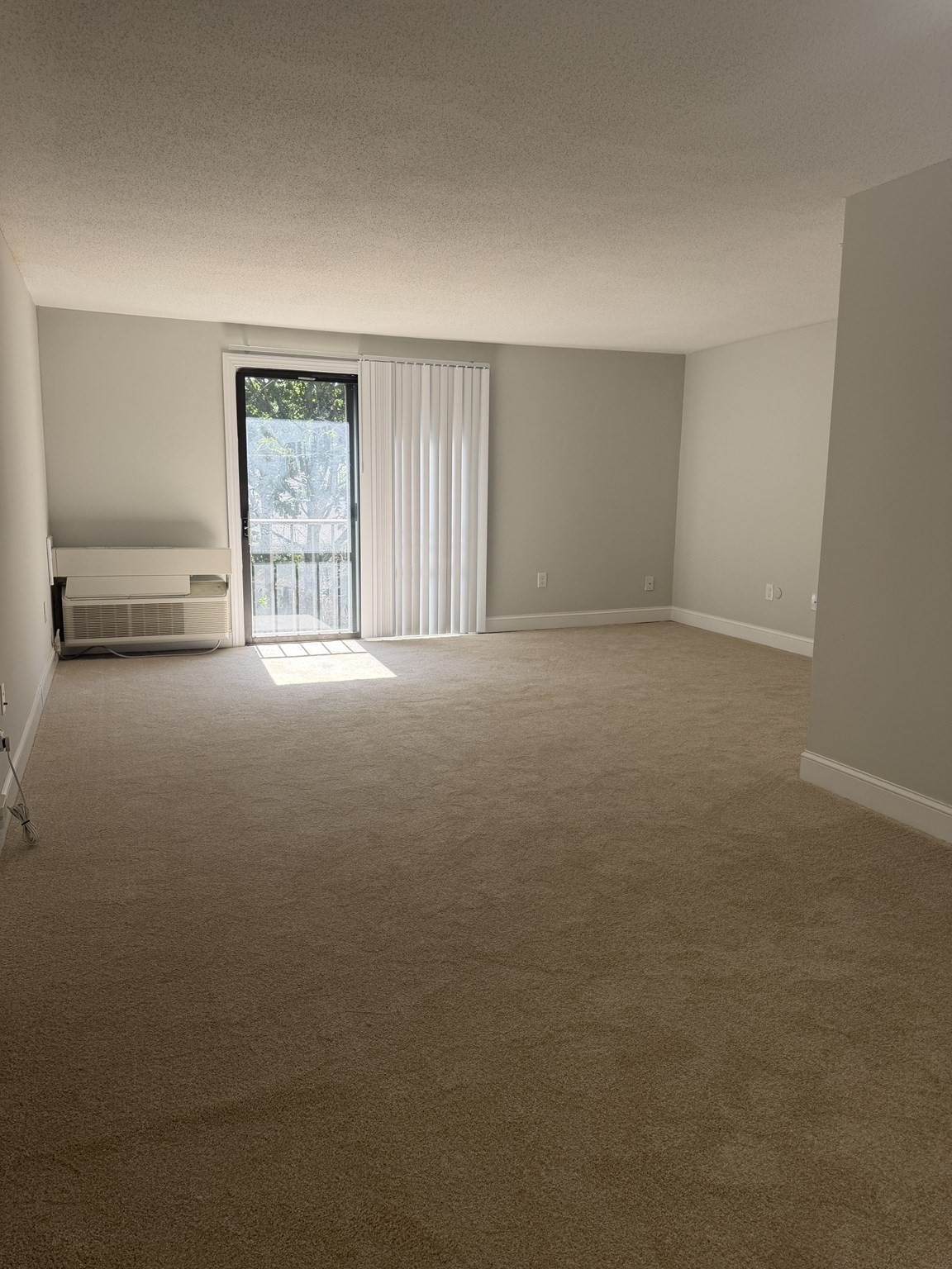 27 Village Rock Lane # 22 Property Photo 4