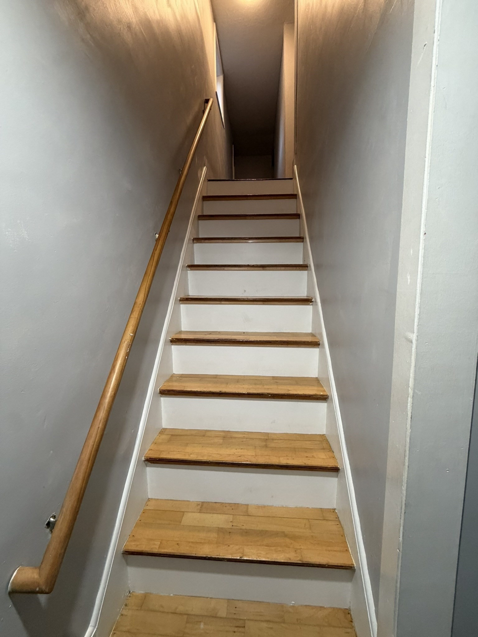 12 Ryefield Rd Property Photo 16