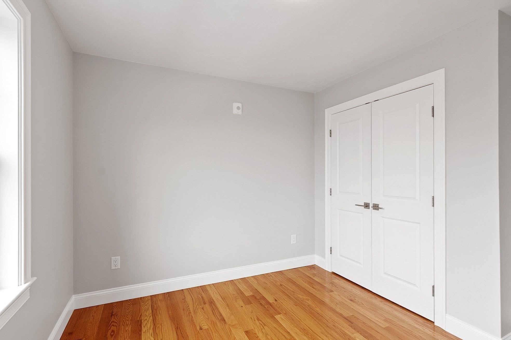 10 Windsor St Property Photo 29