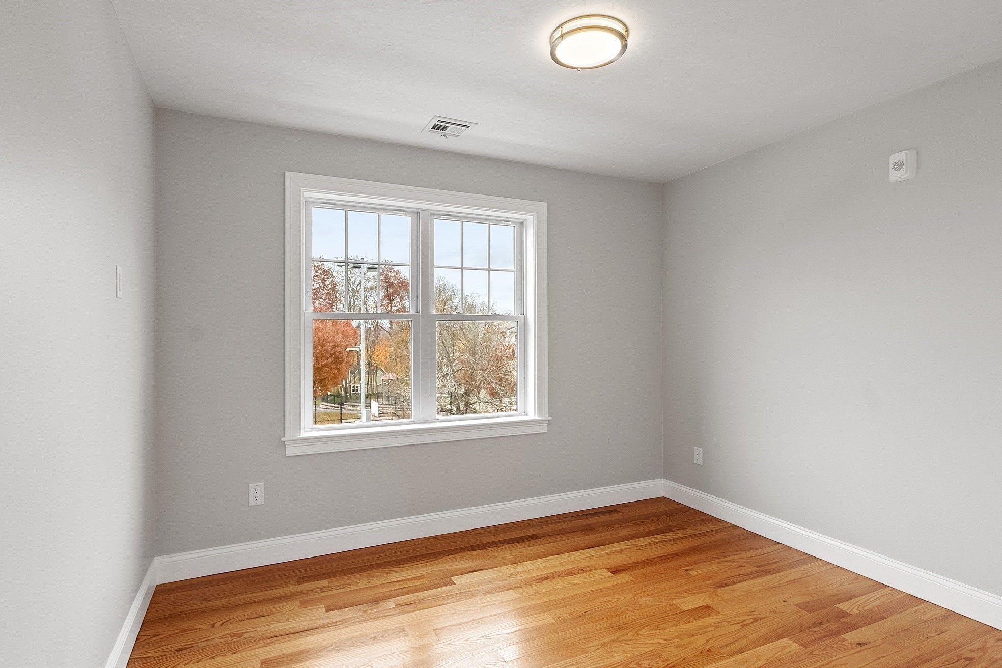 10 Windsor St Property Photo 30