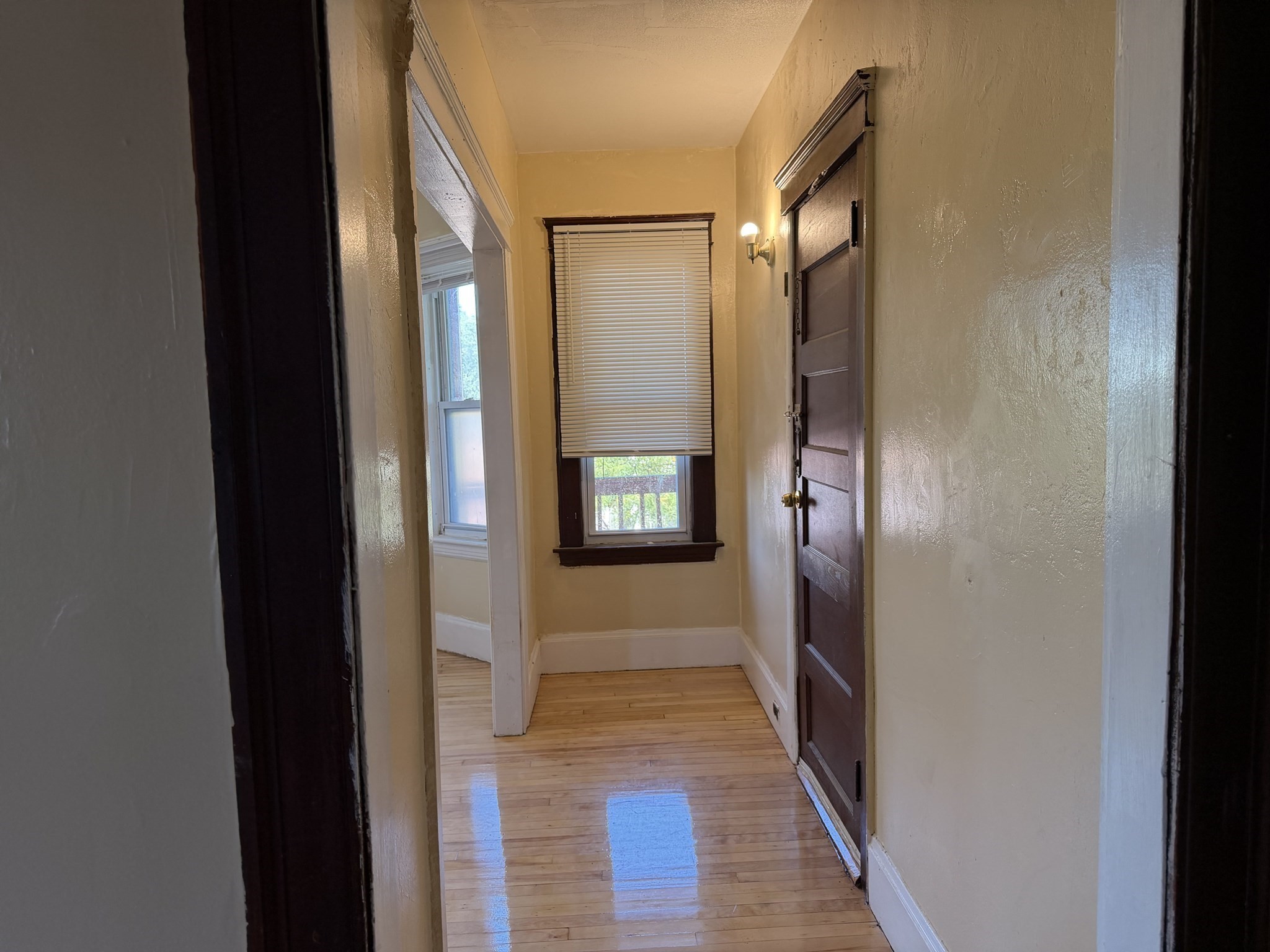 2 Shirley St # 2 Property Photo 4
