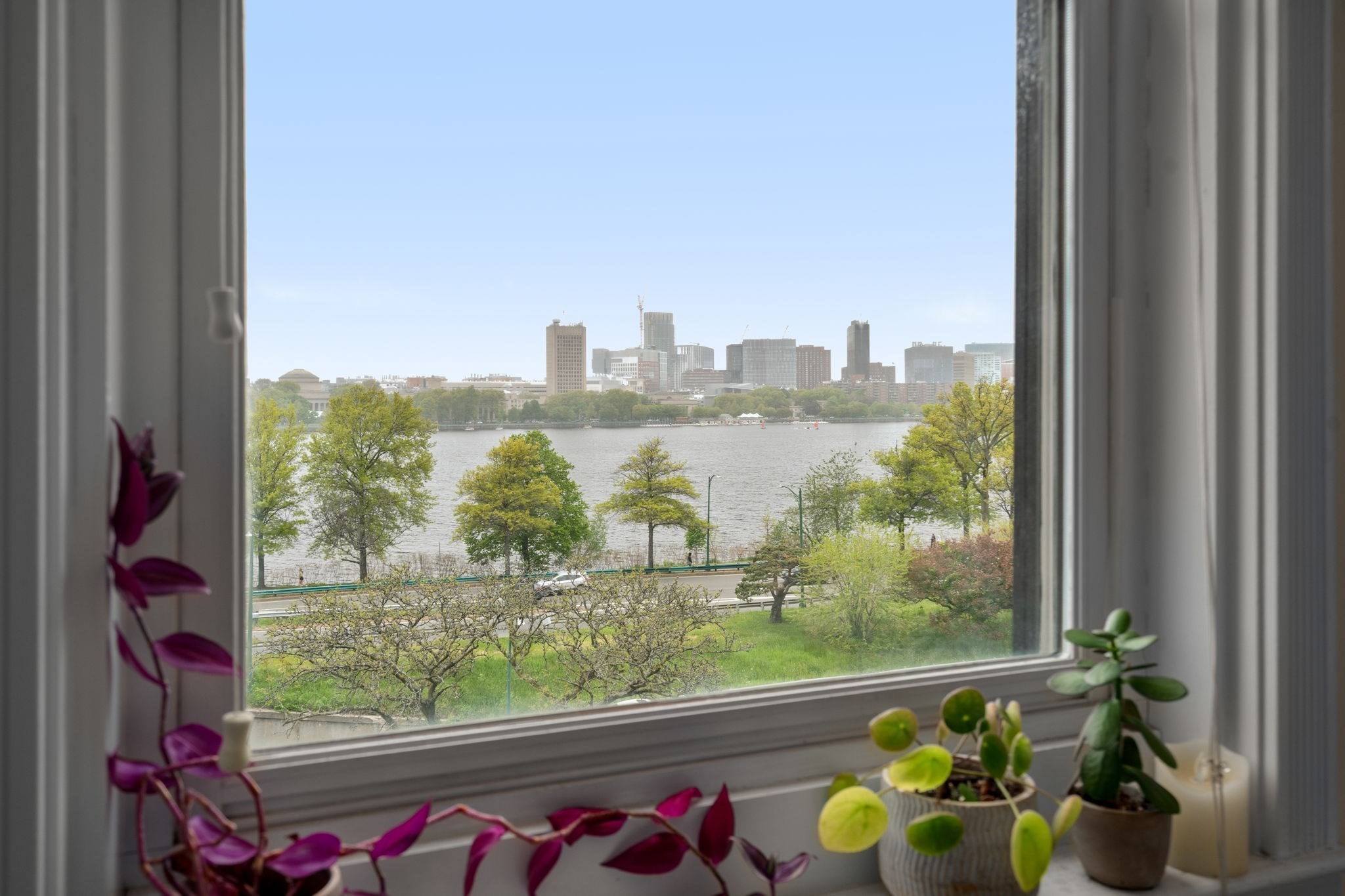 482 Beacon Street # 42 Property Photo 9