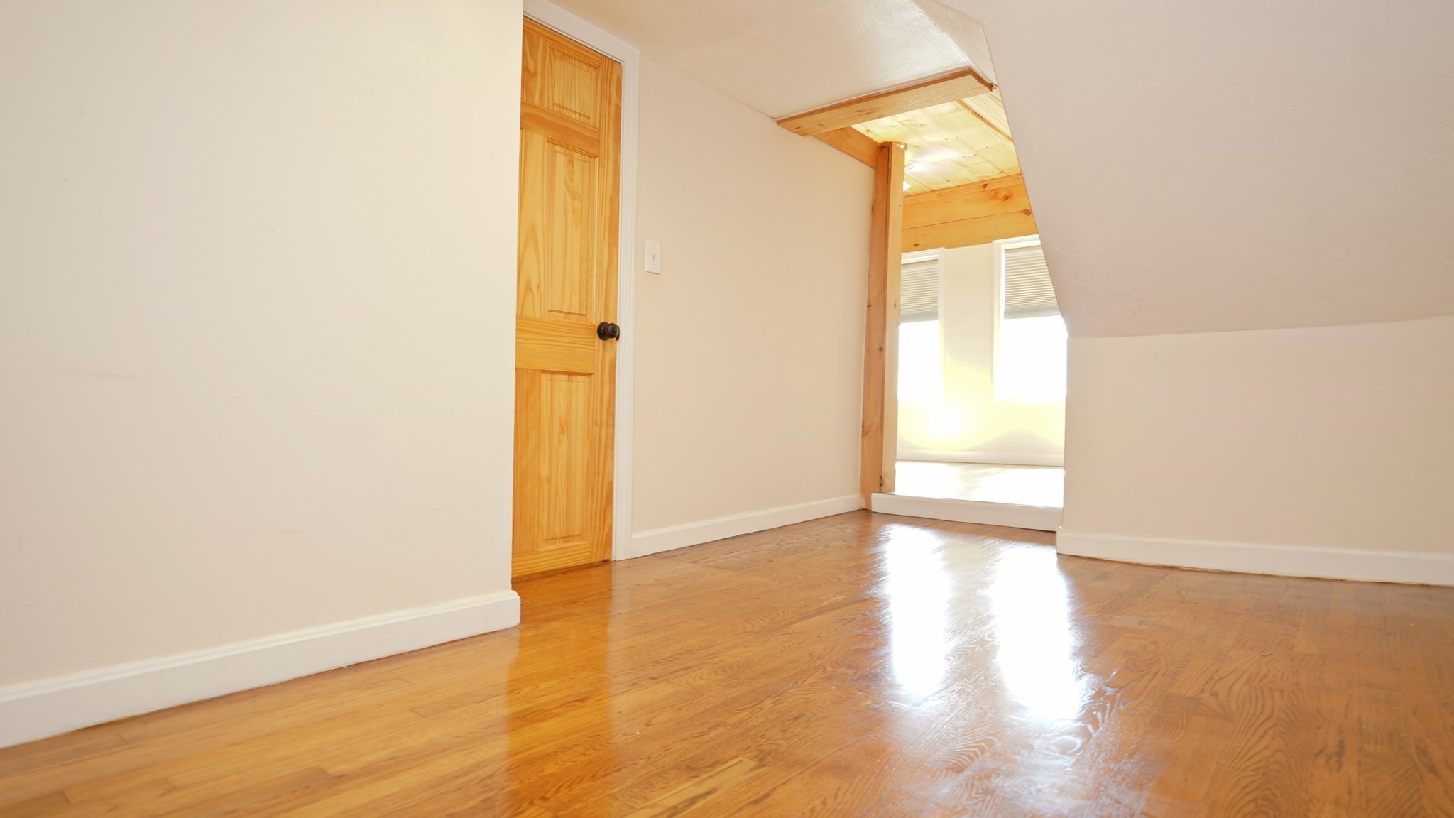 4 Phillips St Property Photo 28