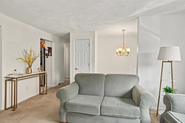 5 William Rd Property Photo 19