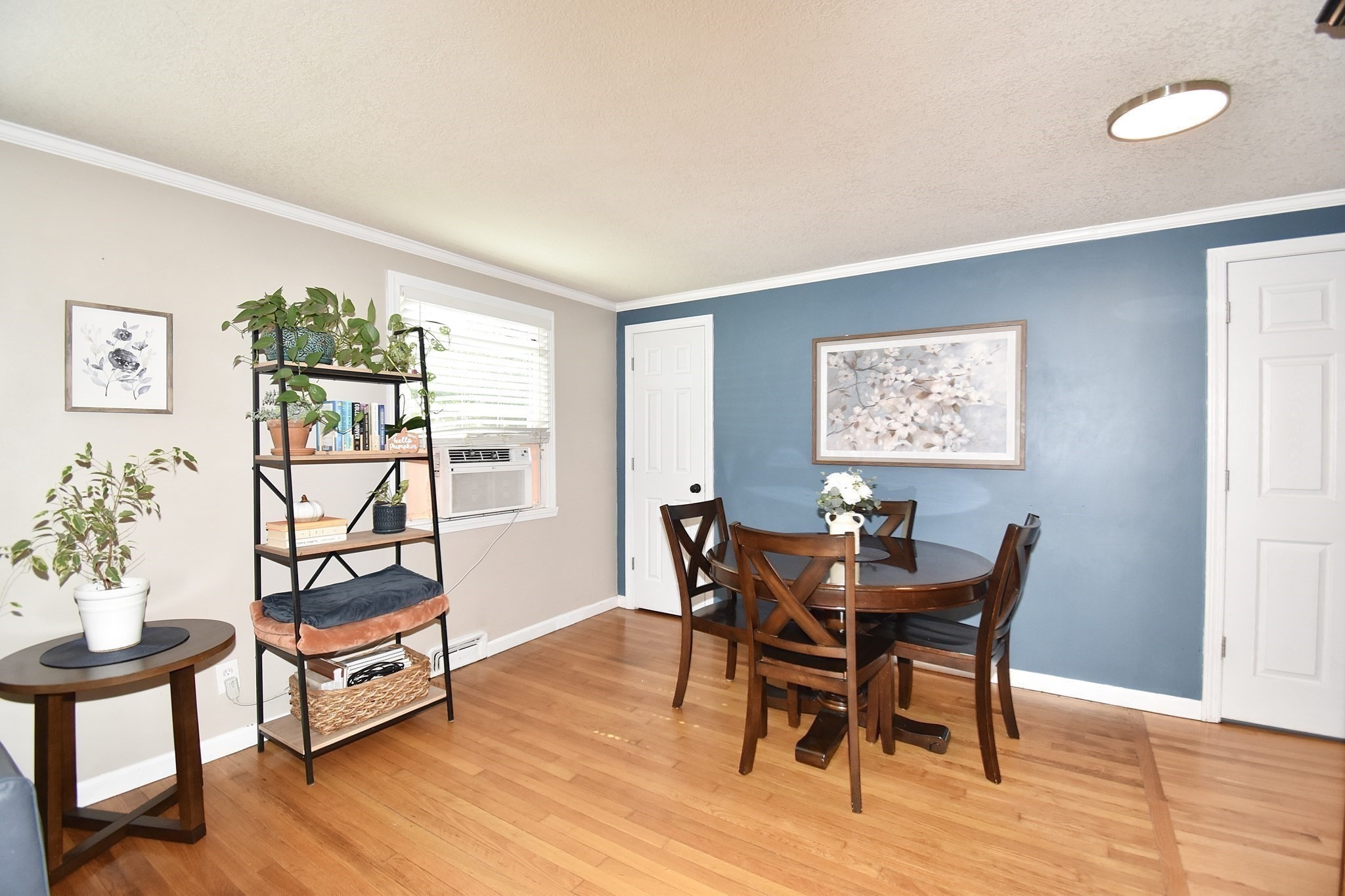 92 Louis Rd Property Photo 8