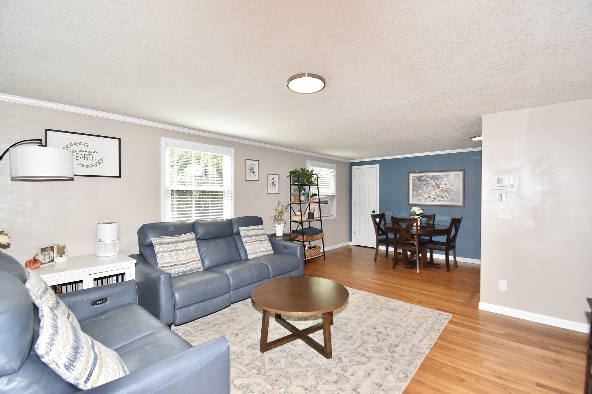 92 Louis Rd Property Photo 14