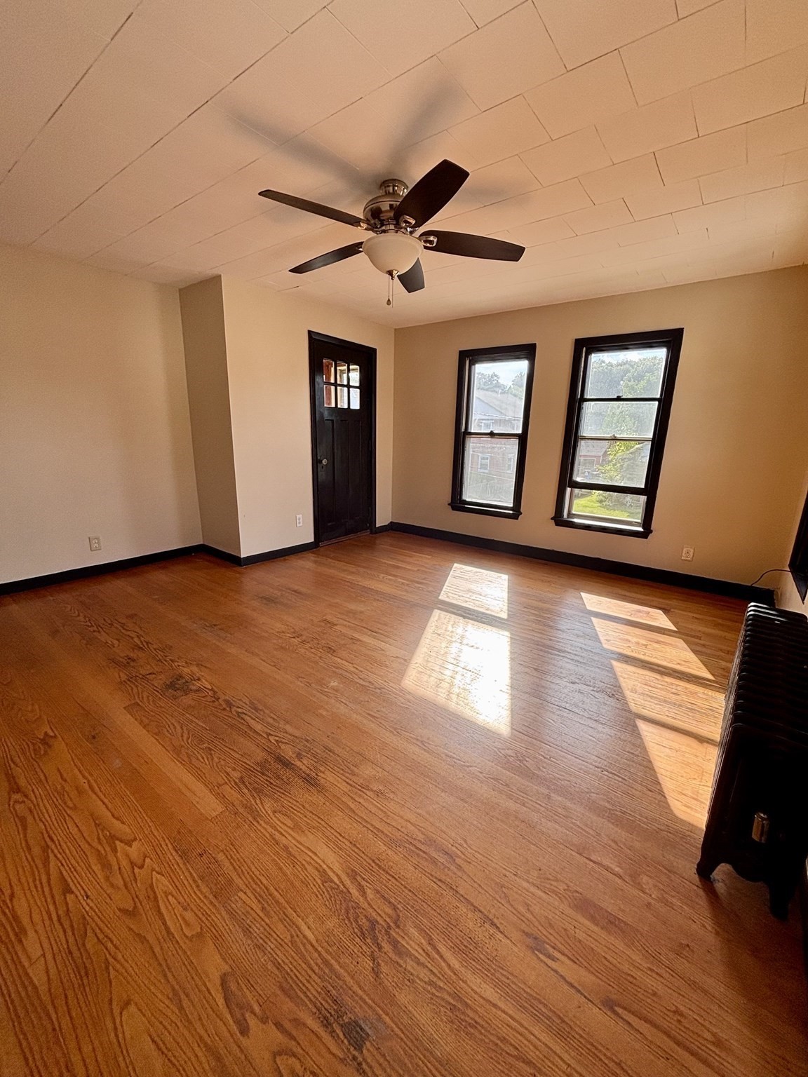 13 Dexter St Property Photo 15