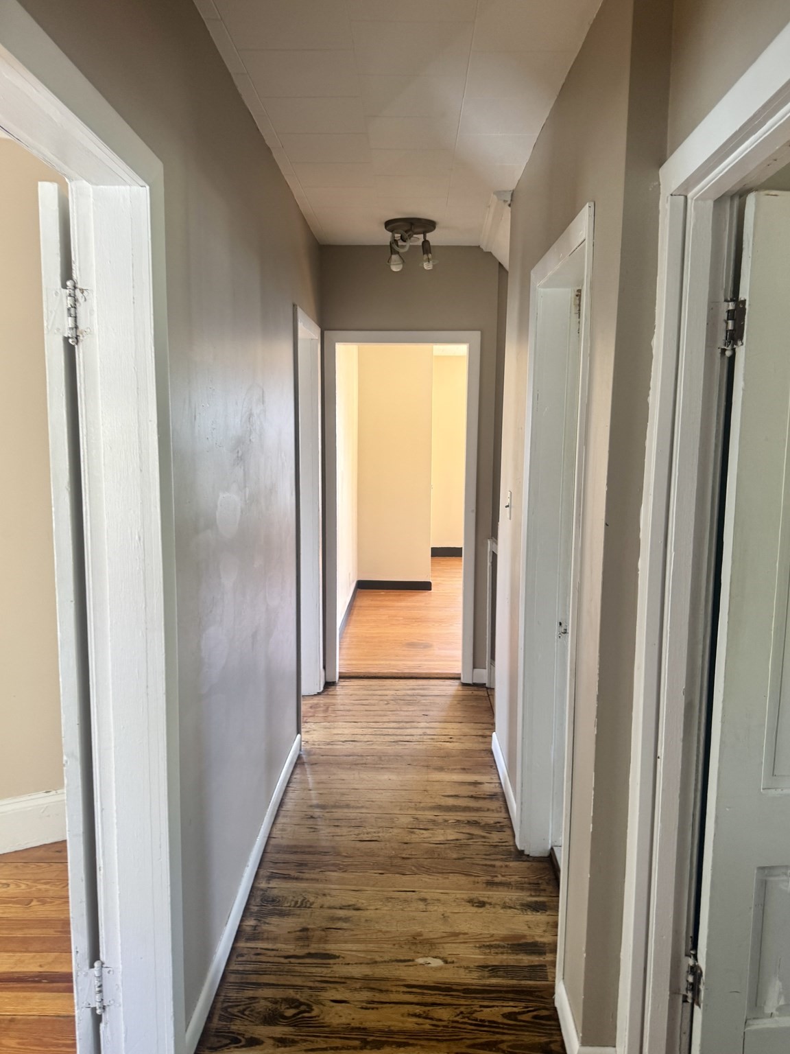 13 Dexter St Property Photo 17
