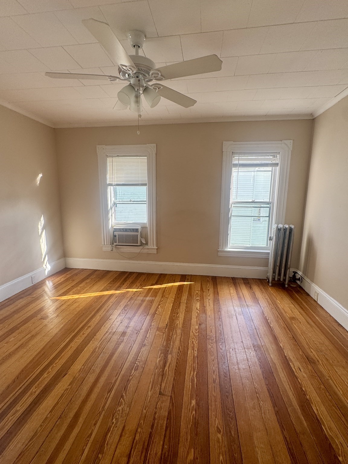 13 Dexter St Property Photo 18