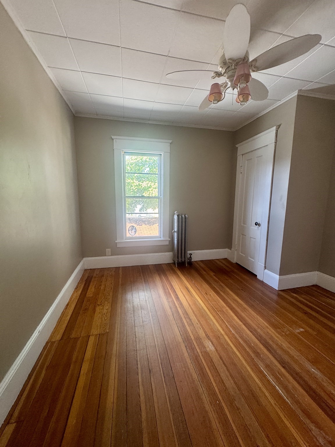 13 Dexter St Property Photo 19