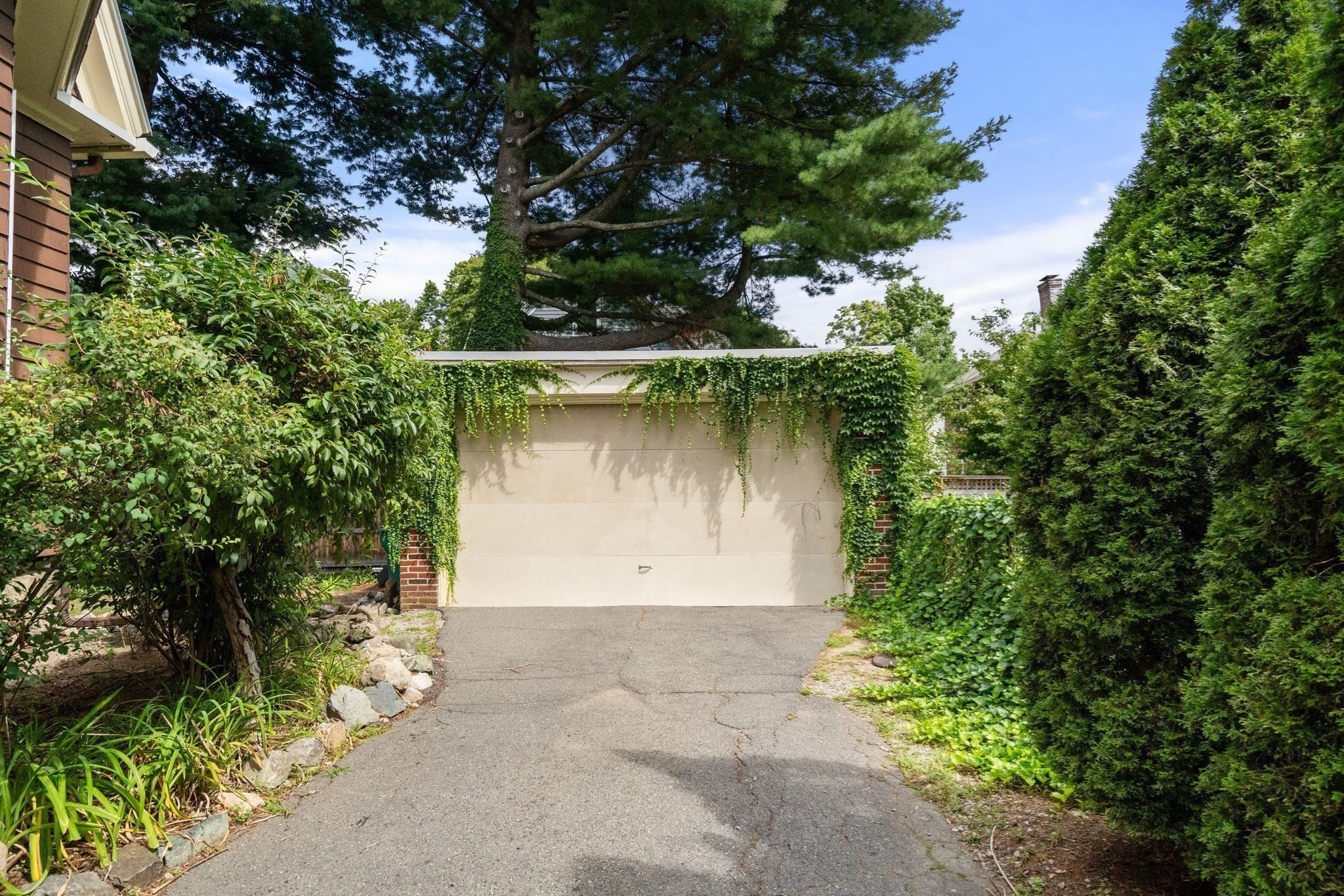 18 Loring Street Property Photo 19