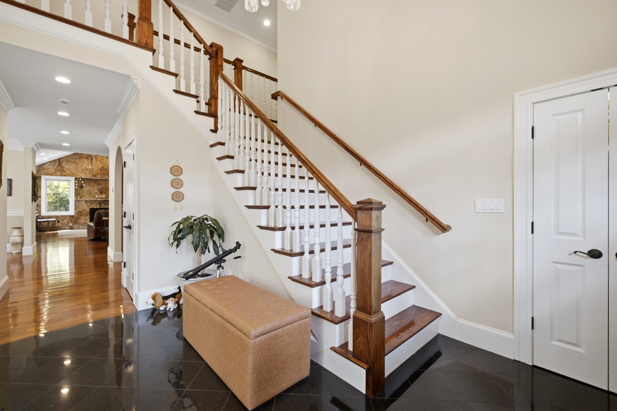 8 Longmeadow Rd Property Photo 3