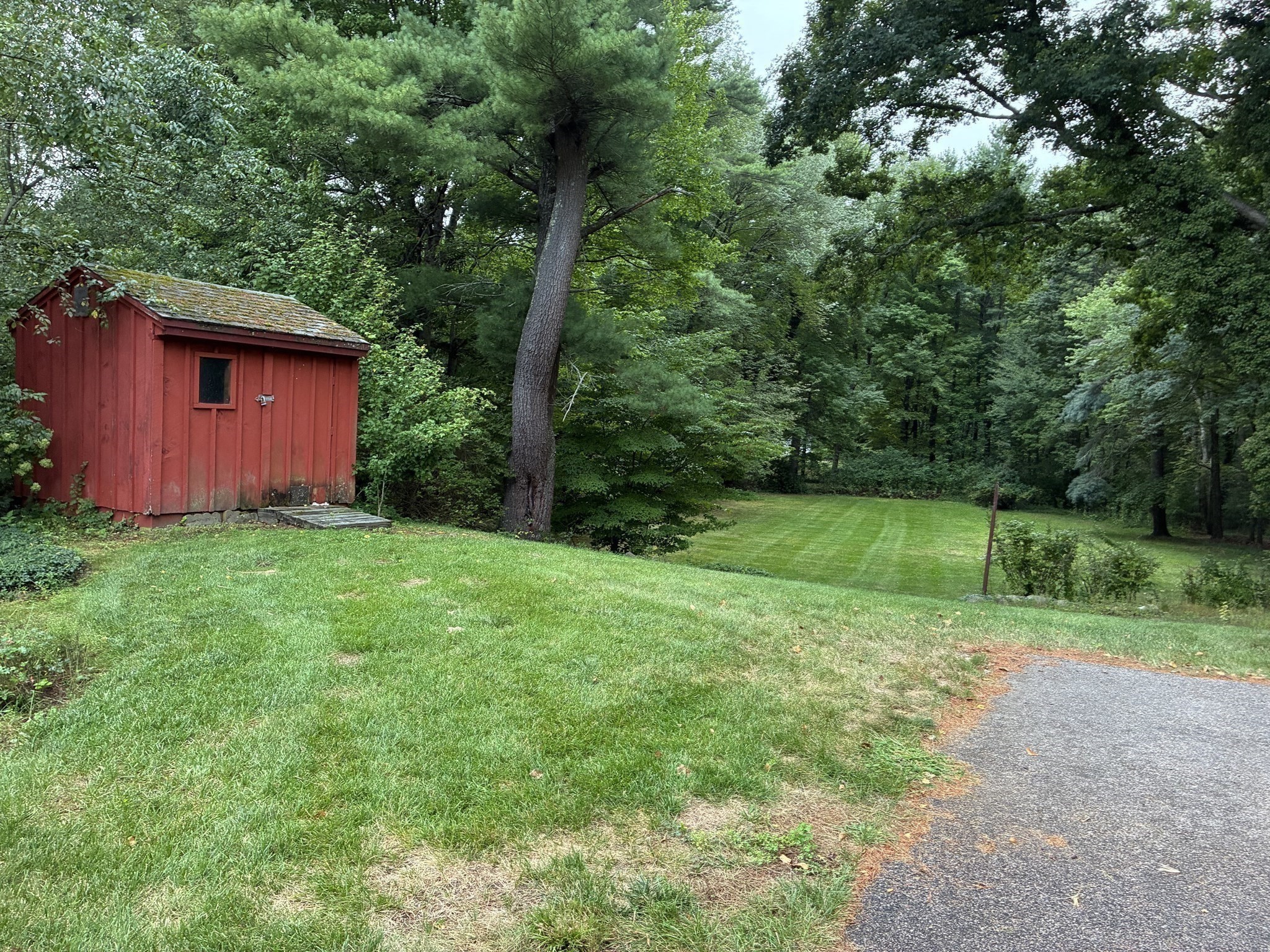 93 Seekonk Street Property Photo 31