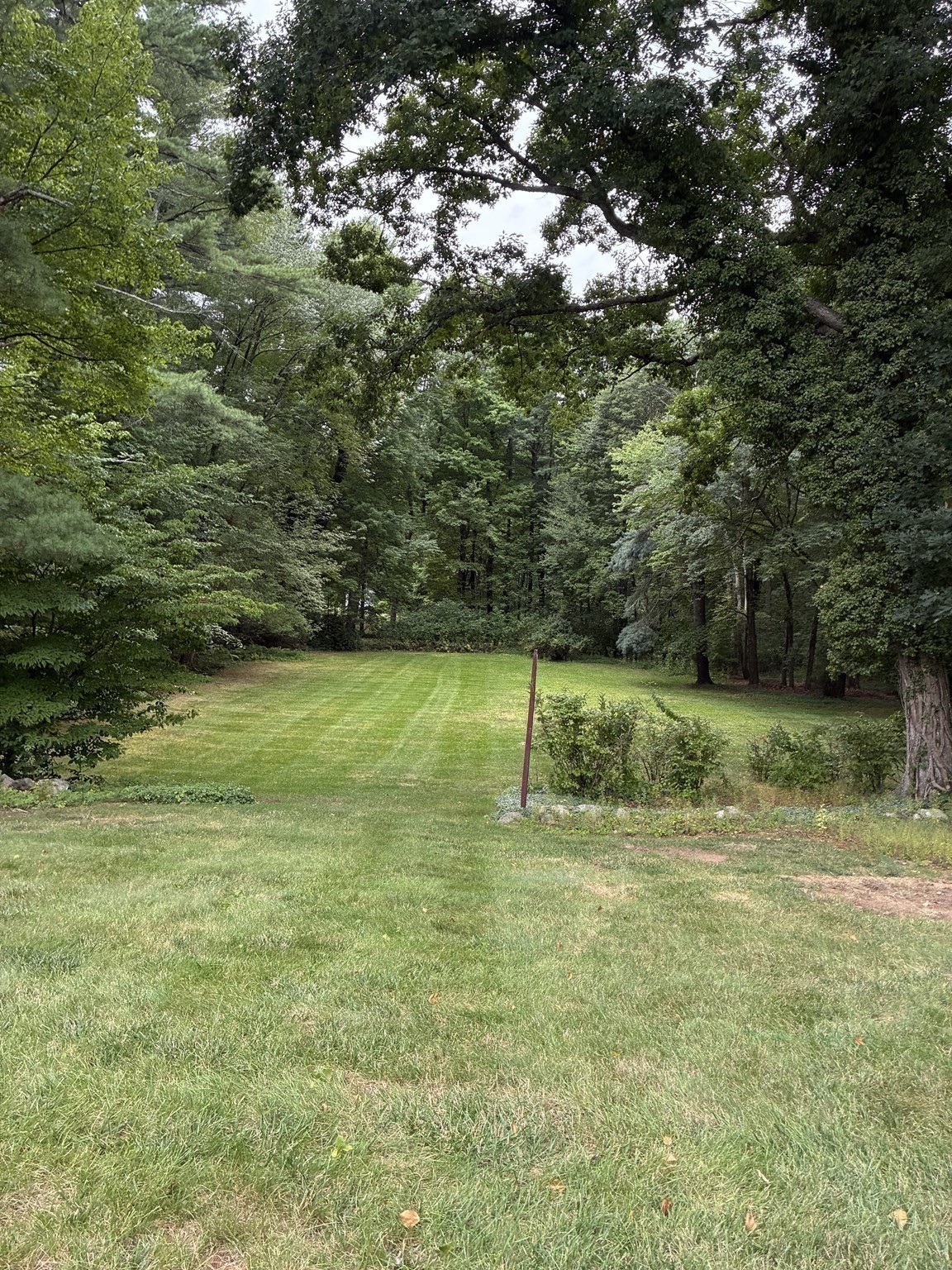 93 Seekonk Street Property Photo 32