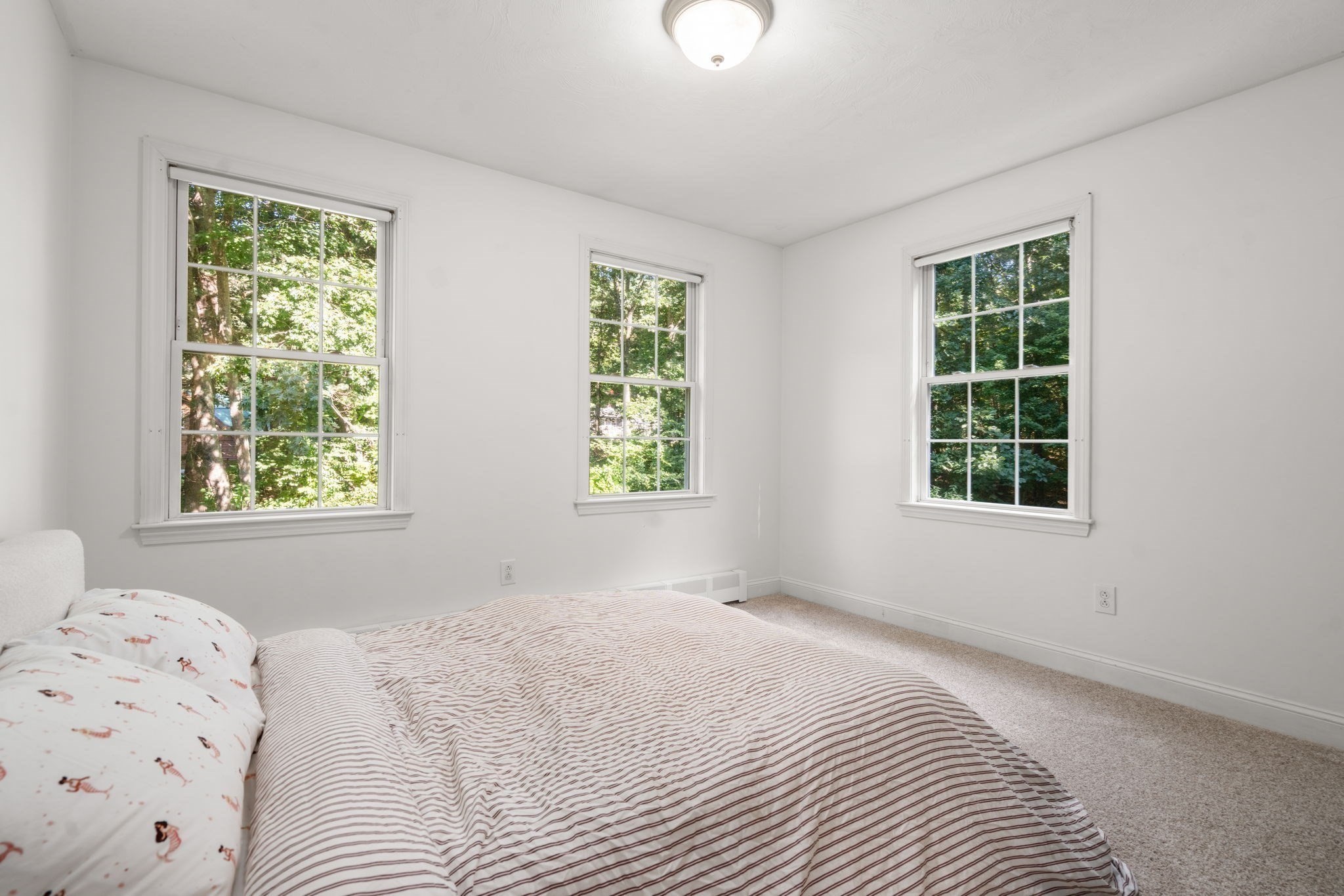 53 E Baylies Road Property Photo 33
