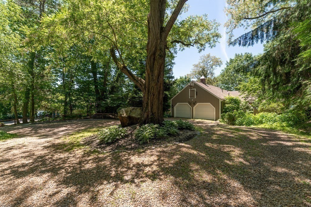 9 Elm Top Property Photo 28