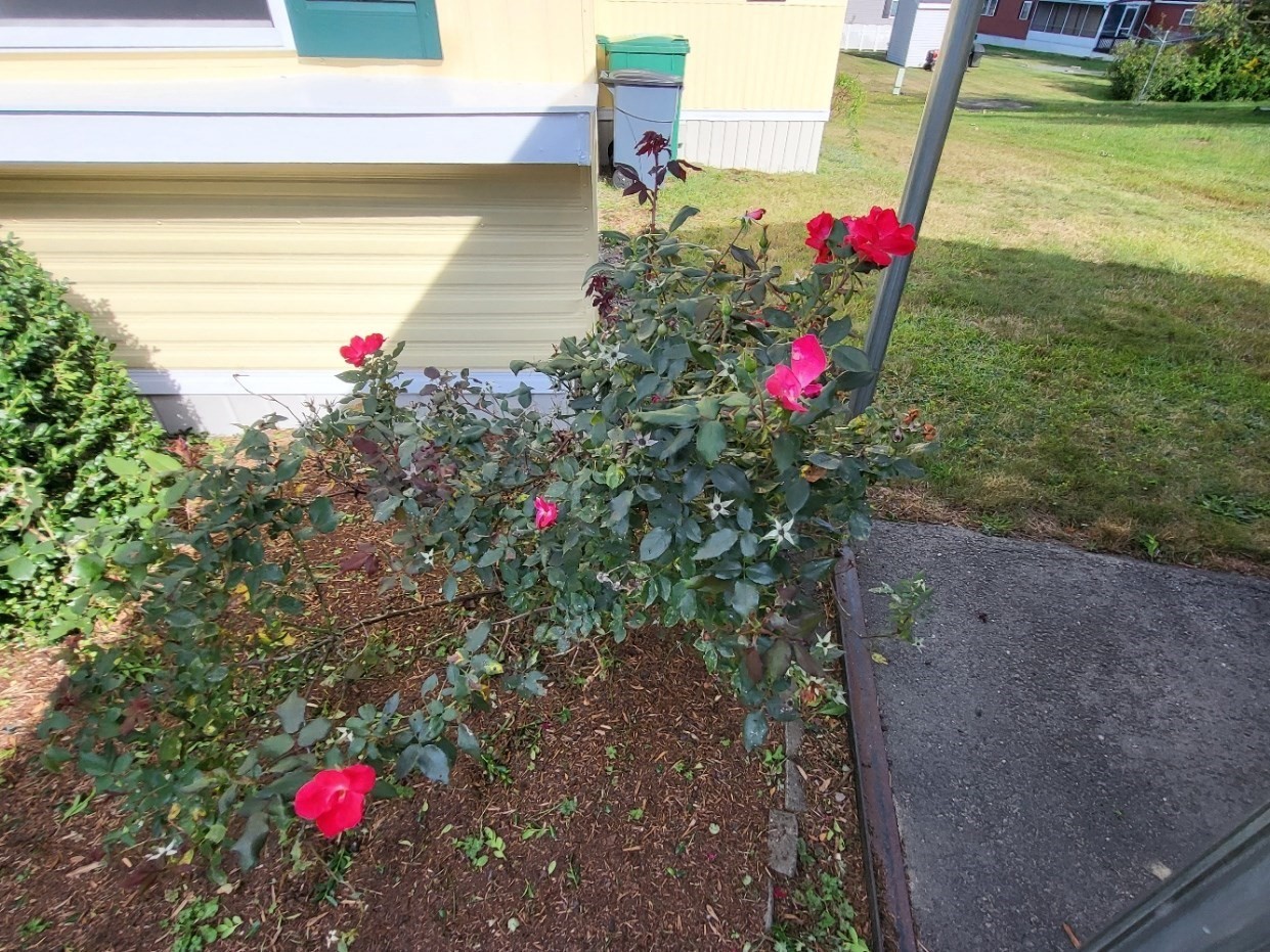 45 Redwood Drive Property Photo 22