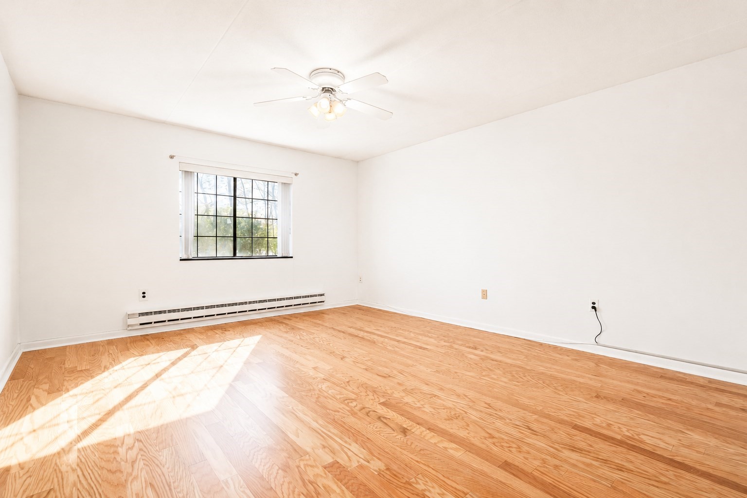 100 Lexington Street # B8 Property Photo 11