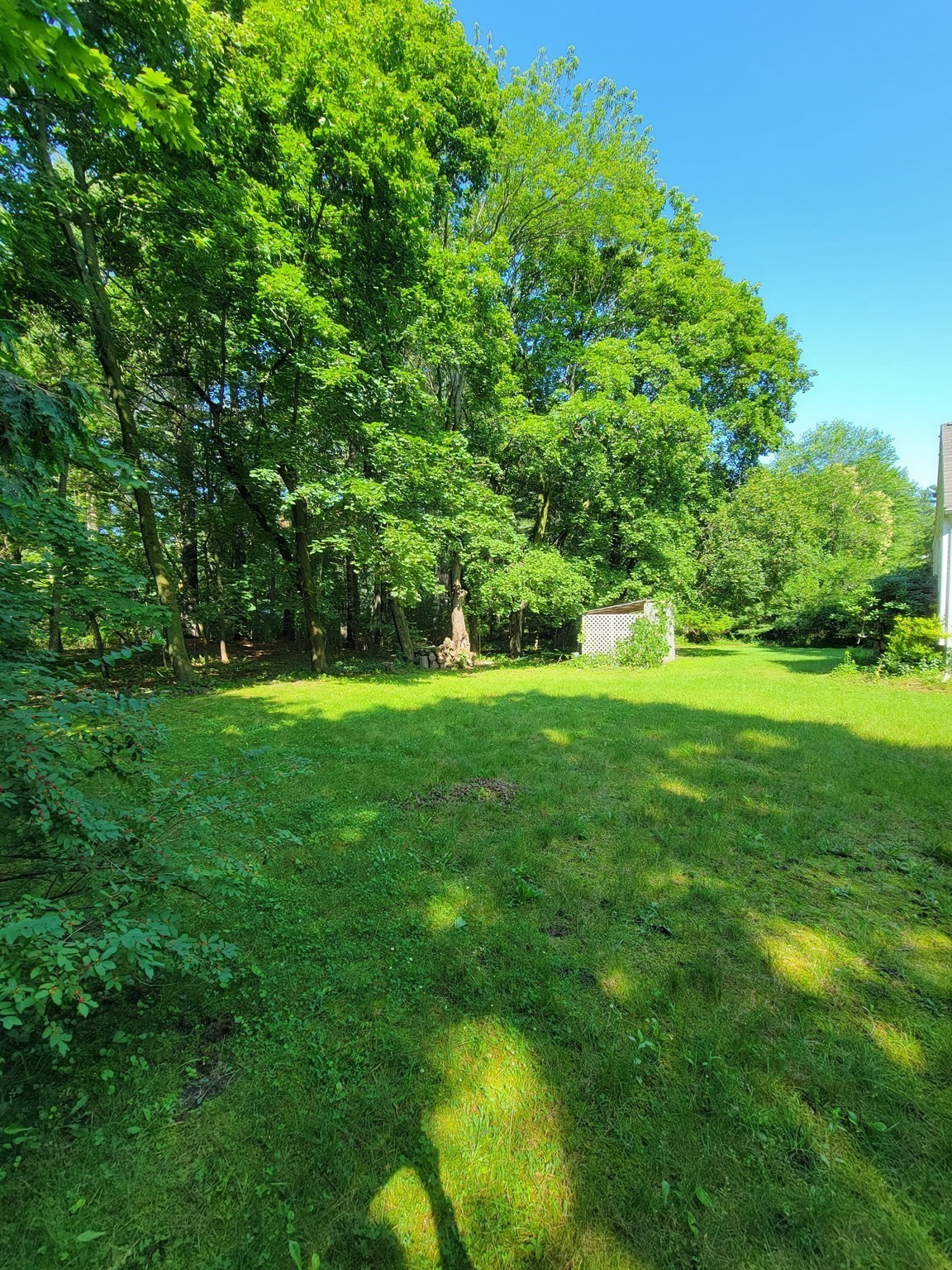 48 Andover St Property Photo 15