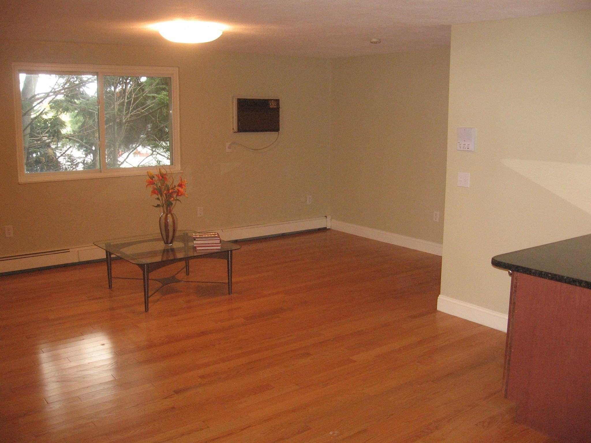 65 Woodlawn Avenue Property Photo 34