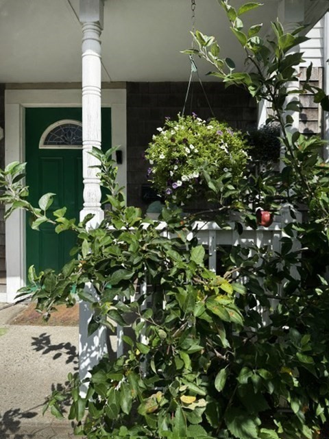 8 May Street Property Photo 2