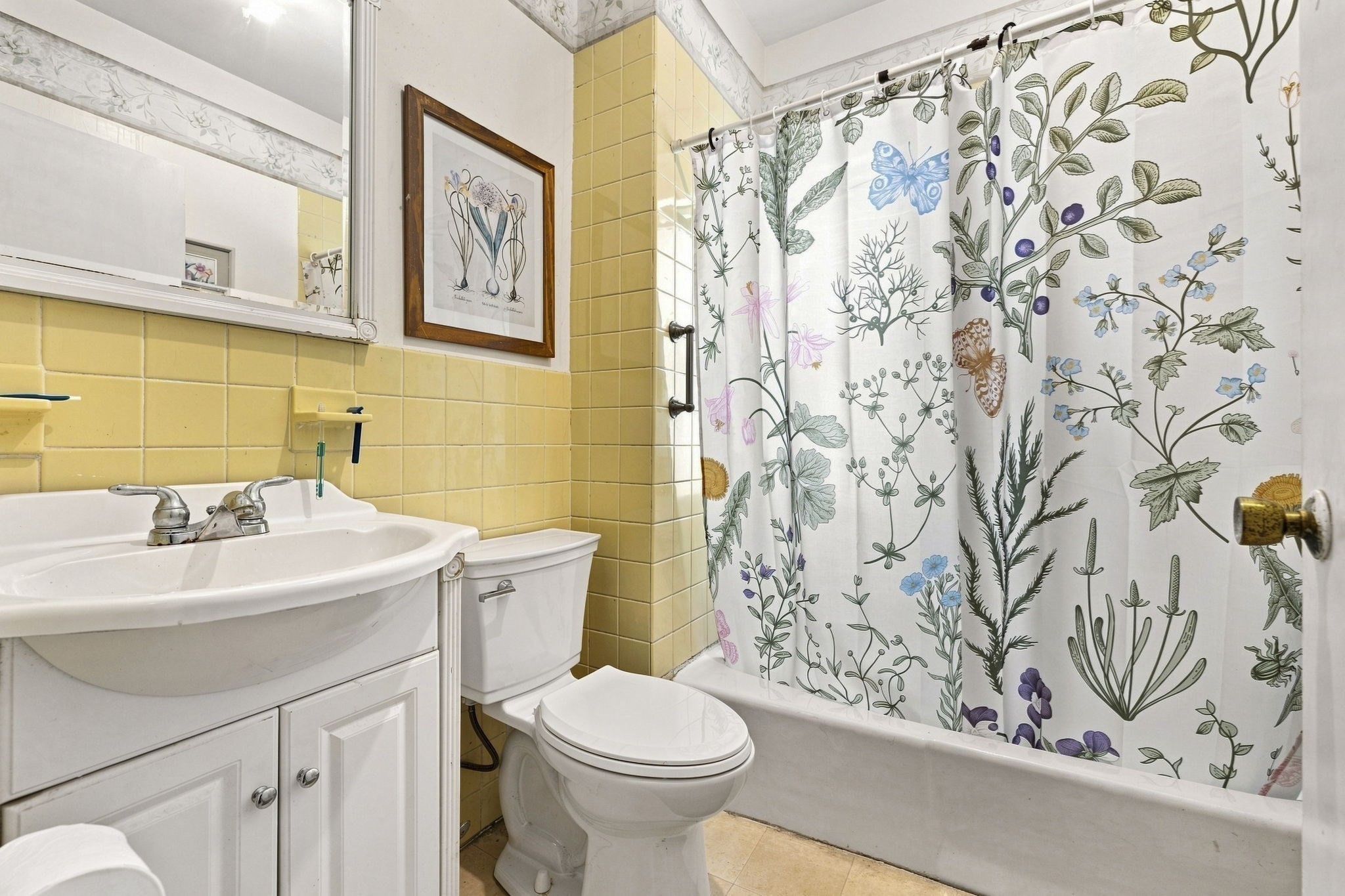10 Albion St Property Photo 15