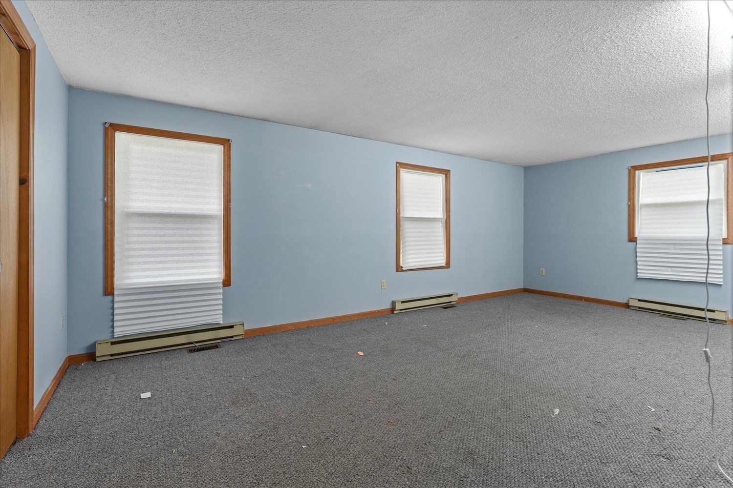 141 Elm St. Property Photo 19