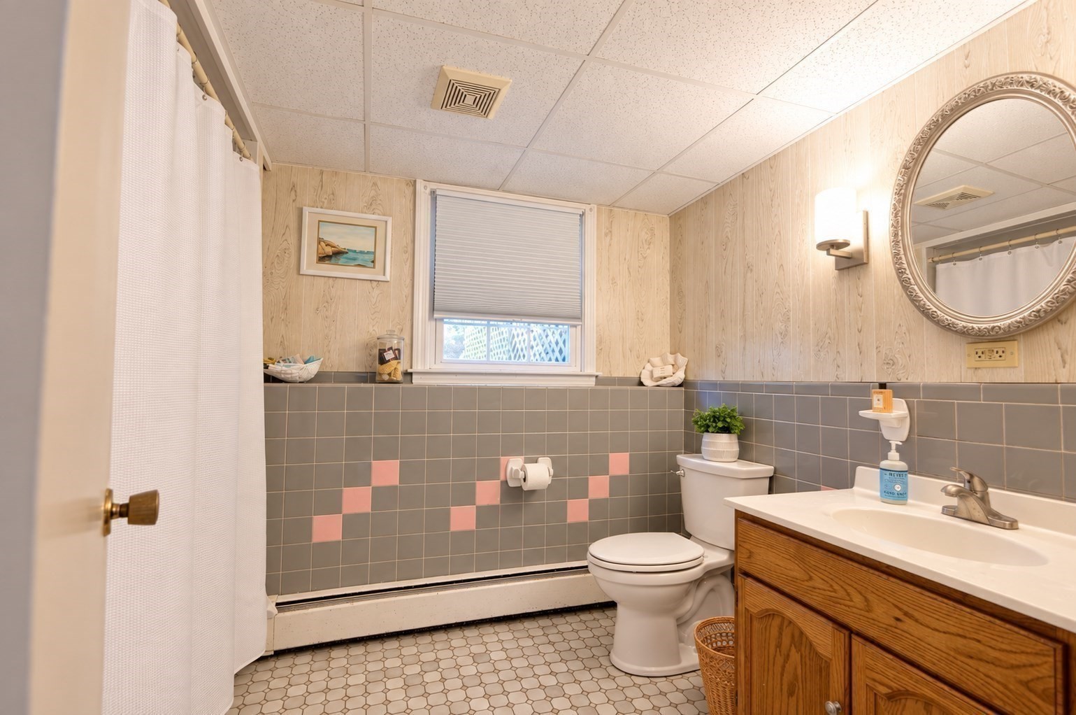 3 Elizabeth Rd Property Photo 29