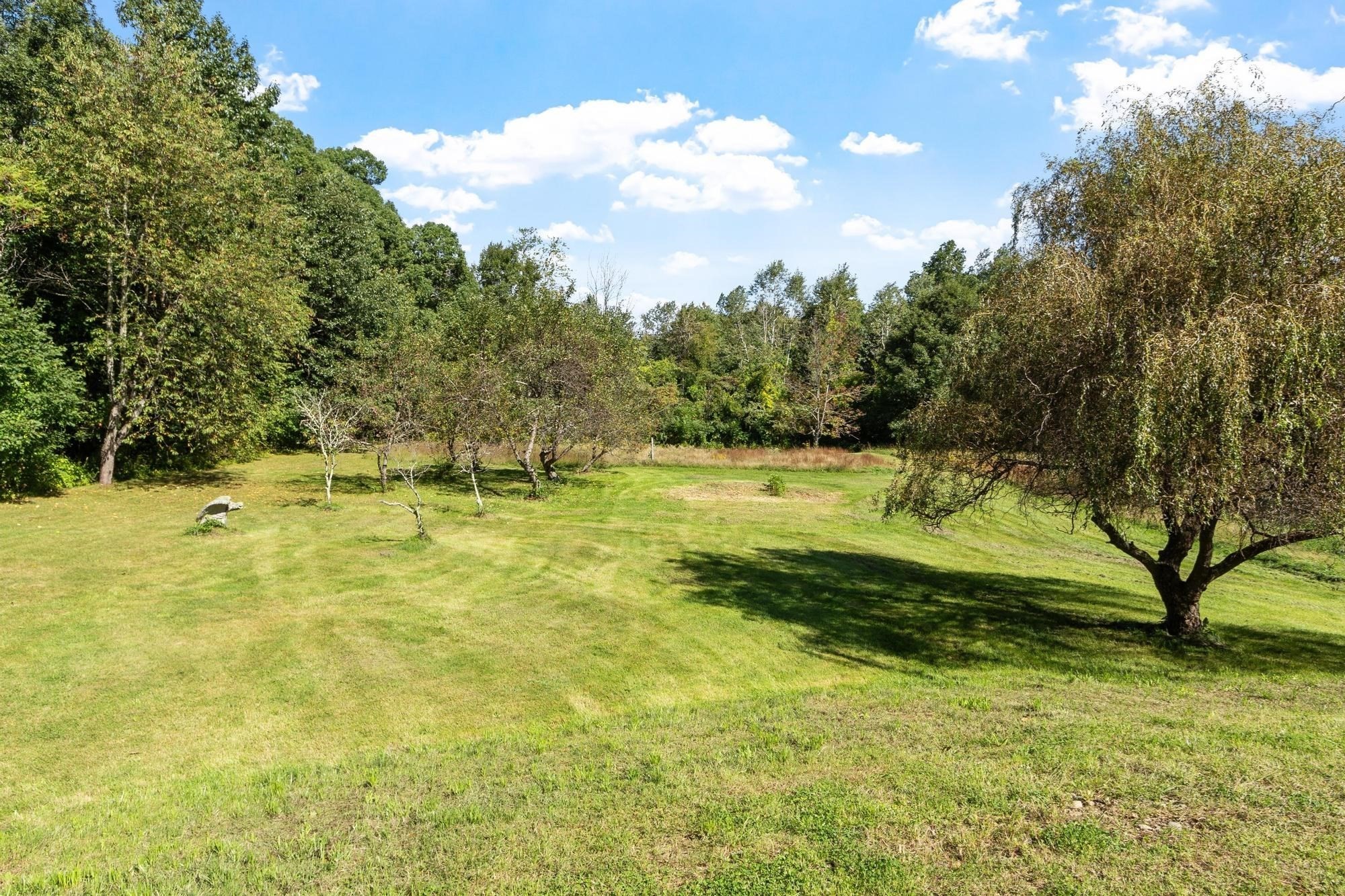 163 Rowley Hill Rd Property Photo 34