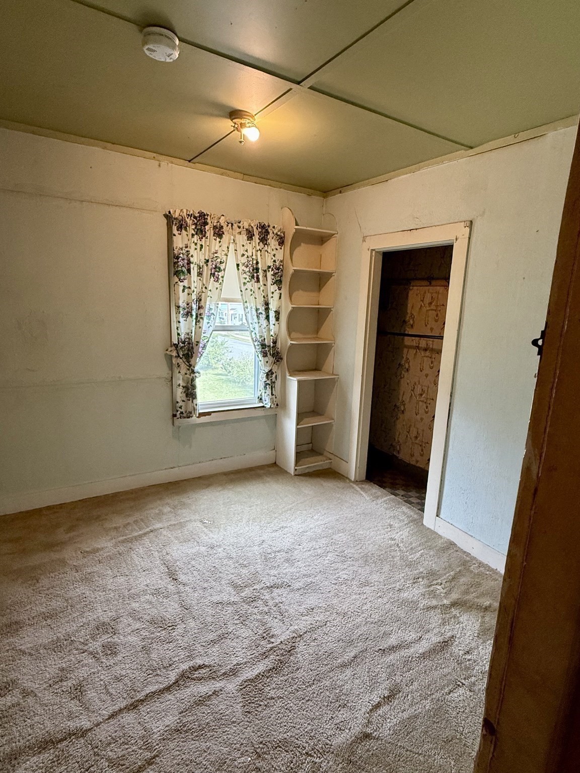 2 Gunn St Property Photo 14