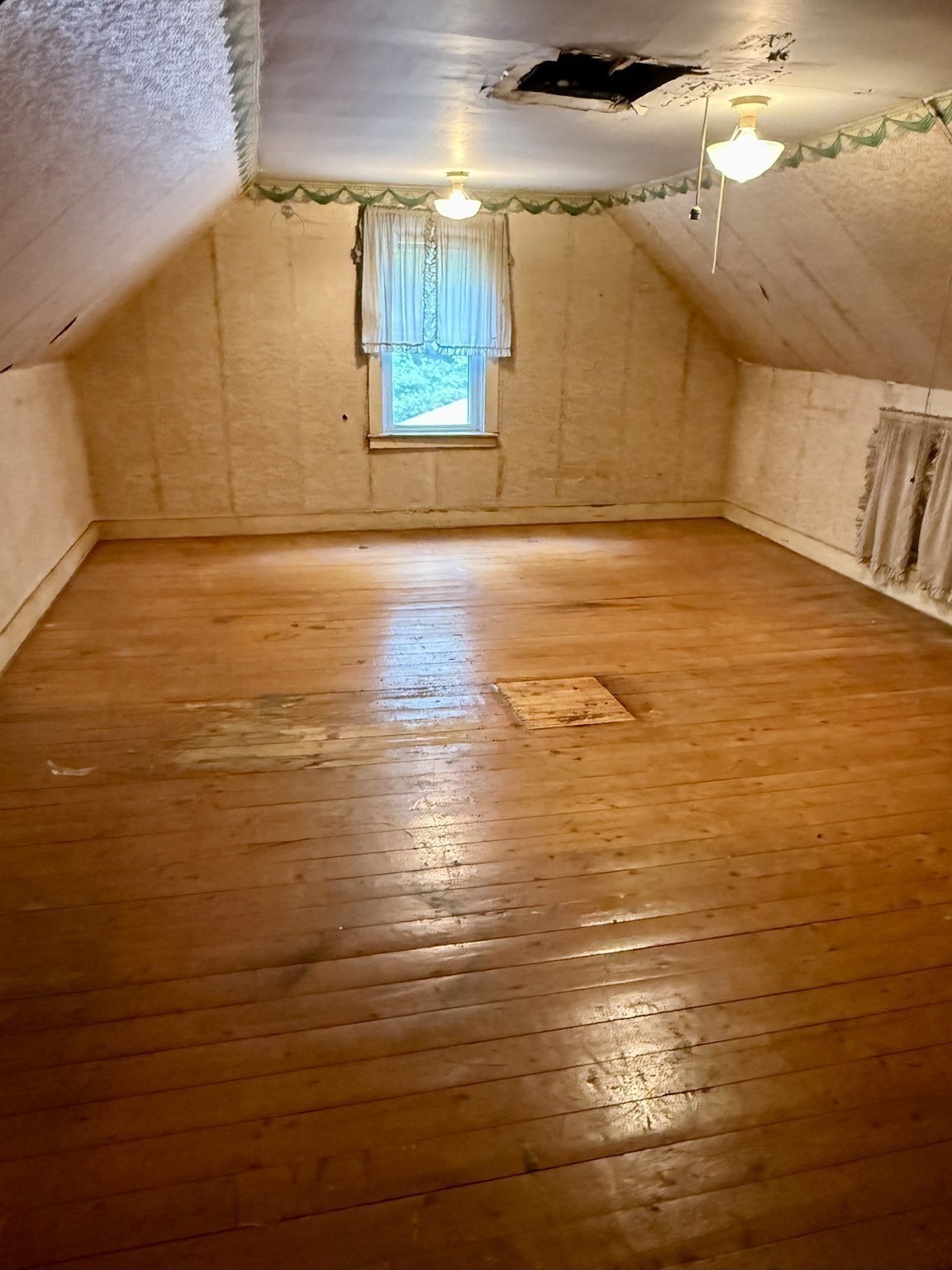2 Gunn St Property Photo 21