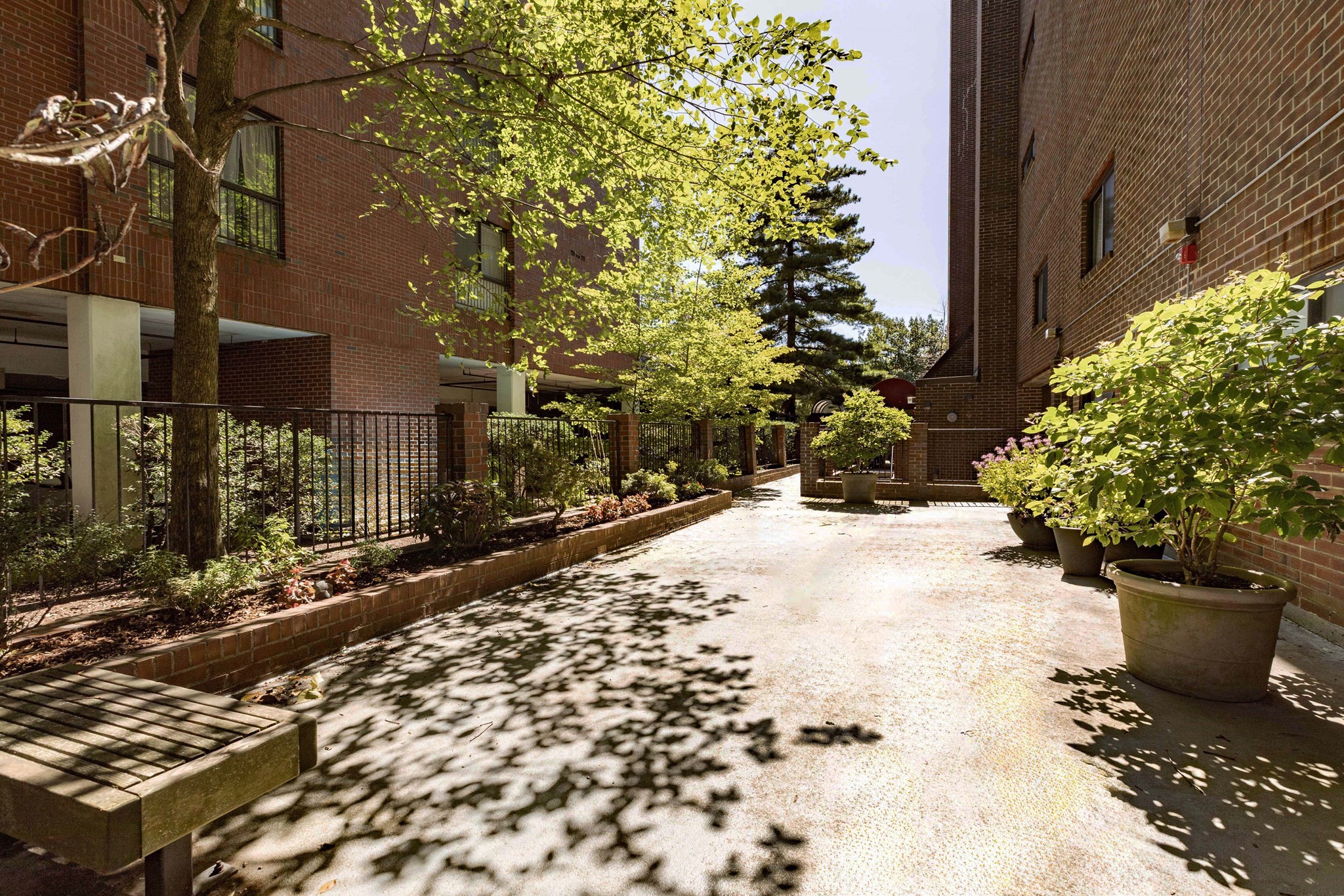 1856 Beacon Street Property Photo 3
