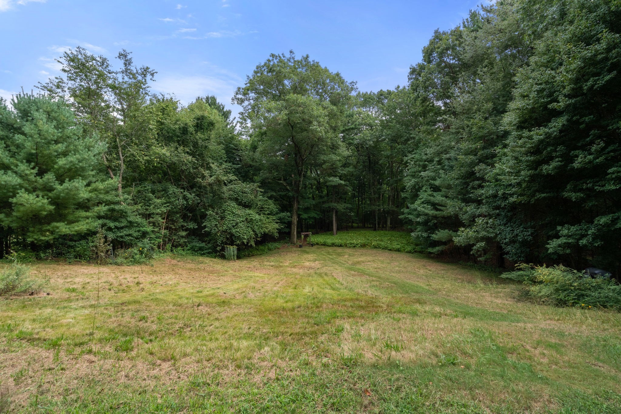 180 Chapman Street Property Photo 11