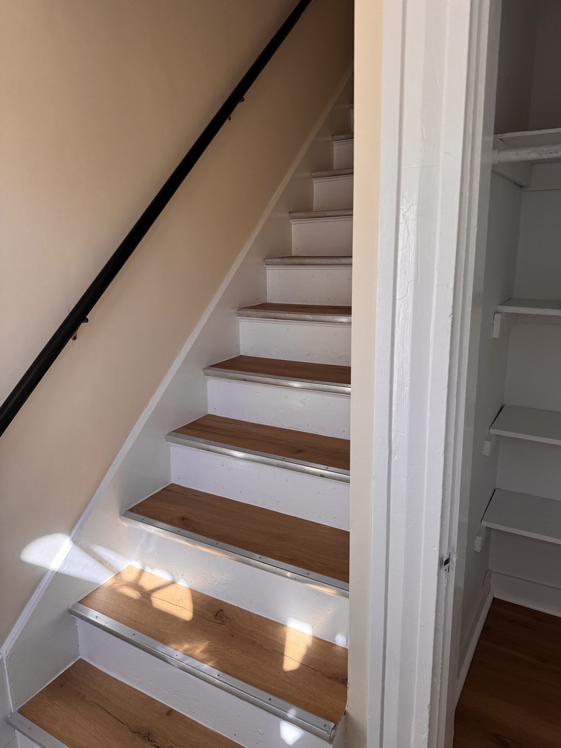 13 Populatic Street # B Property Photo 5