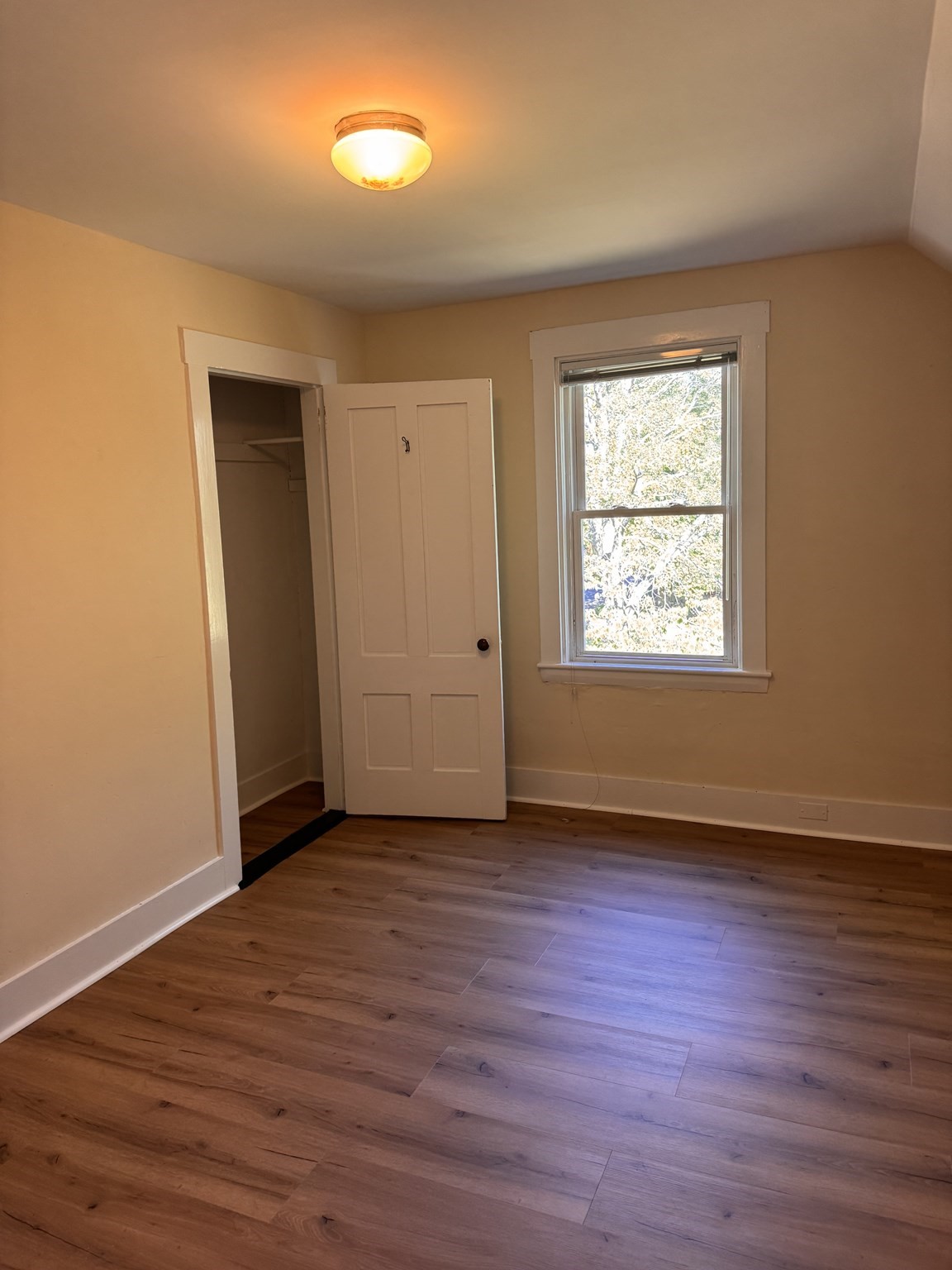 13 Populatic Street # B Property Photo 8