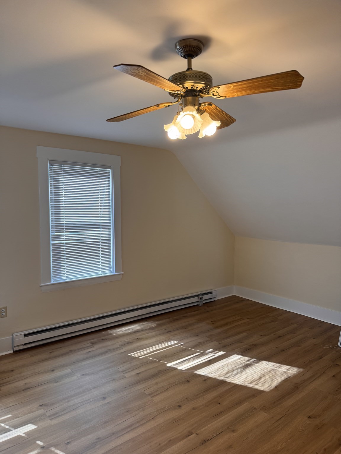 13 Populatic Street # B Property Photo 9