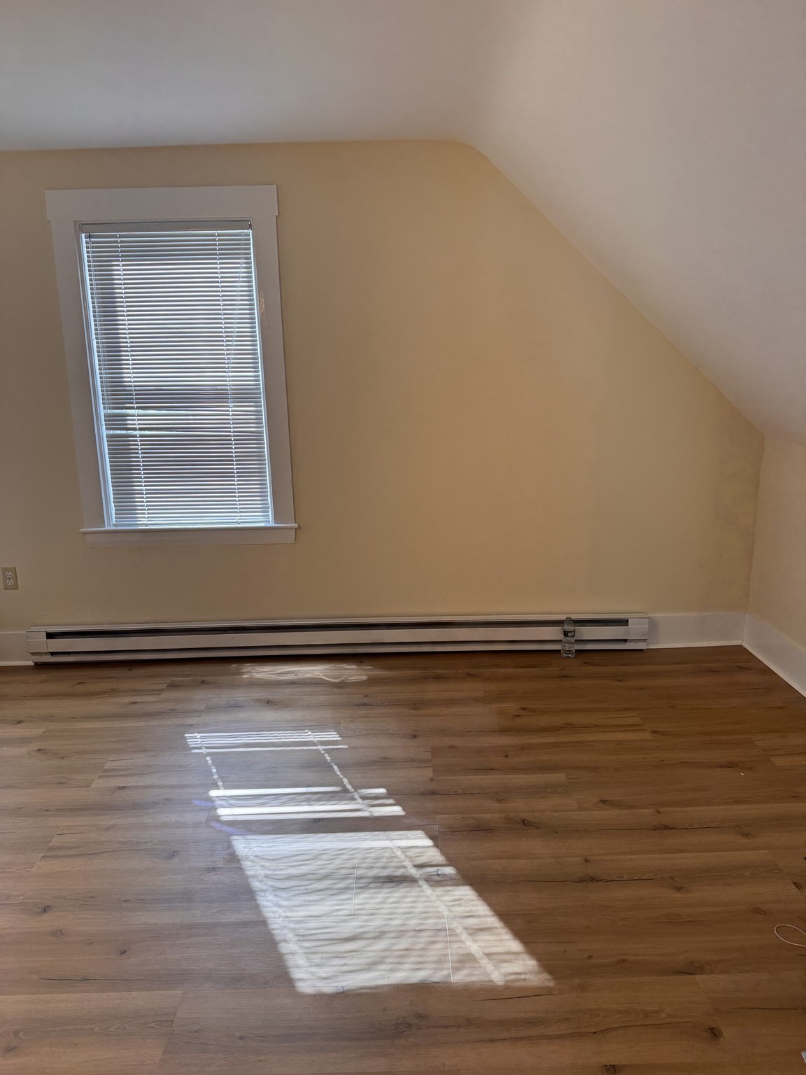 13 Populatic Street # B Property Photo 11