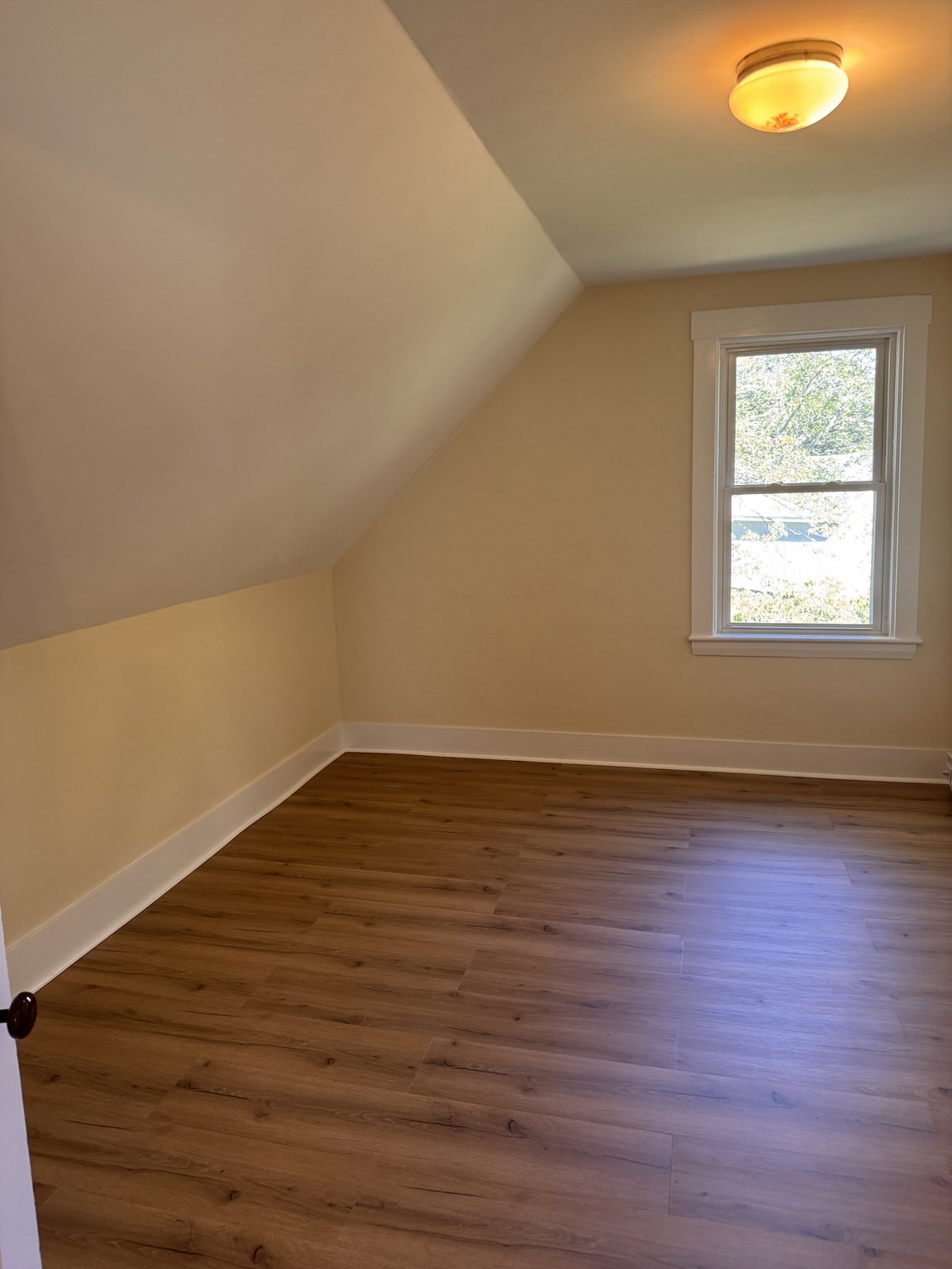 13 Populatic Street # B Property Photo 12
