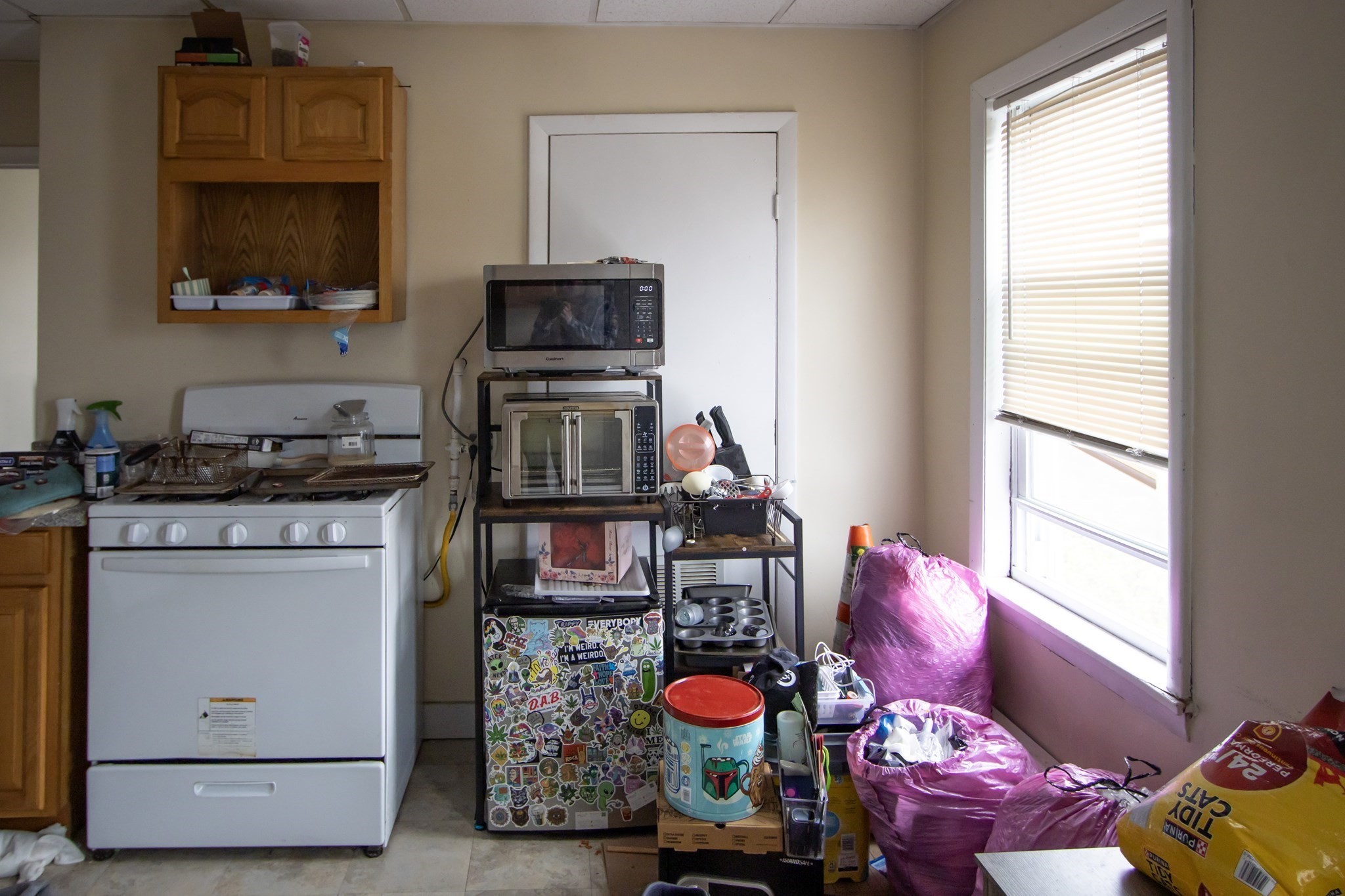 46 Millbury St Property Photo 14